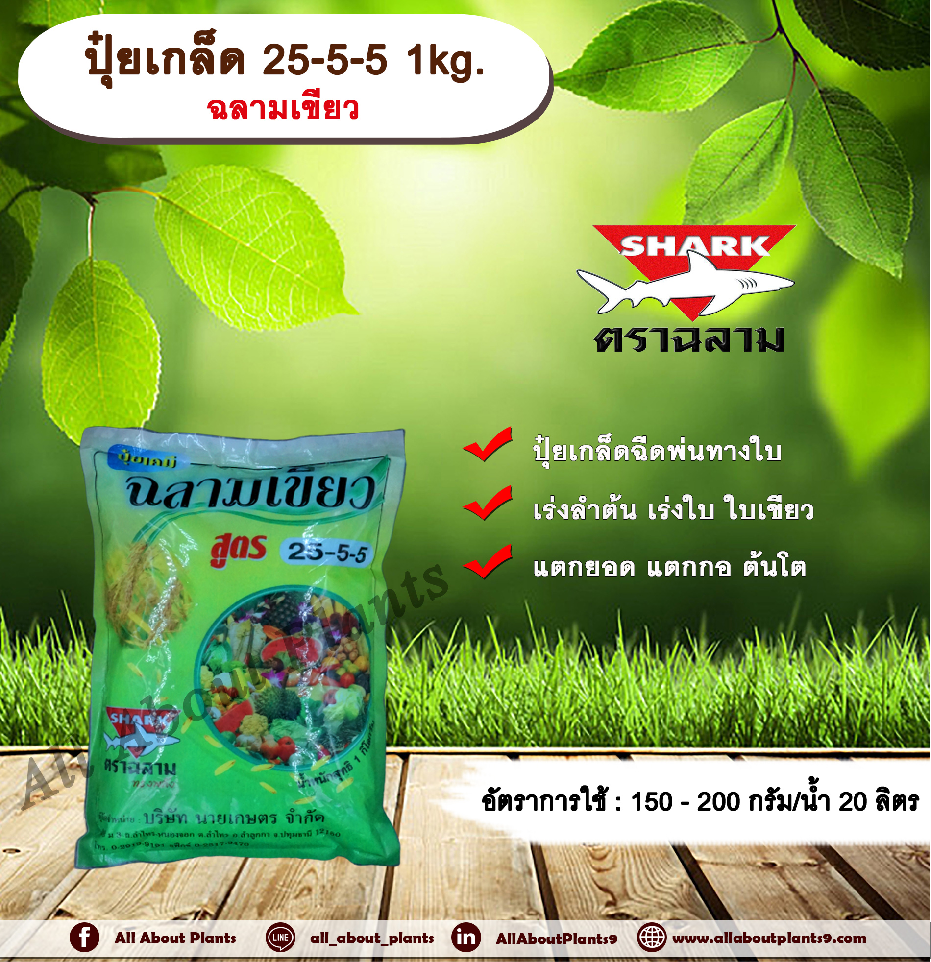 ปุ๋ยเกล็ด ฉลามเขียว สูตร 25-5-5 1kg. ปุ๋ยเขียว ปุ๋ยเย็น ปุ๋ยเกล็ดฉีดพ่นทางใบ เร่งลำต้น เร่งใบ เร่งโต ออกเถา แตกยอด แตกกอ allaboutplants ชิ้น