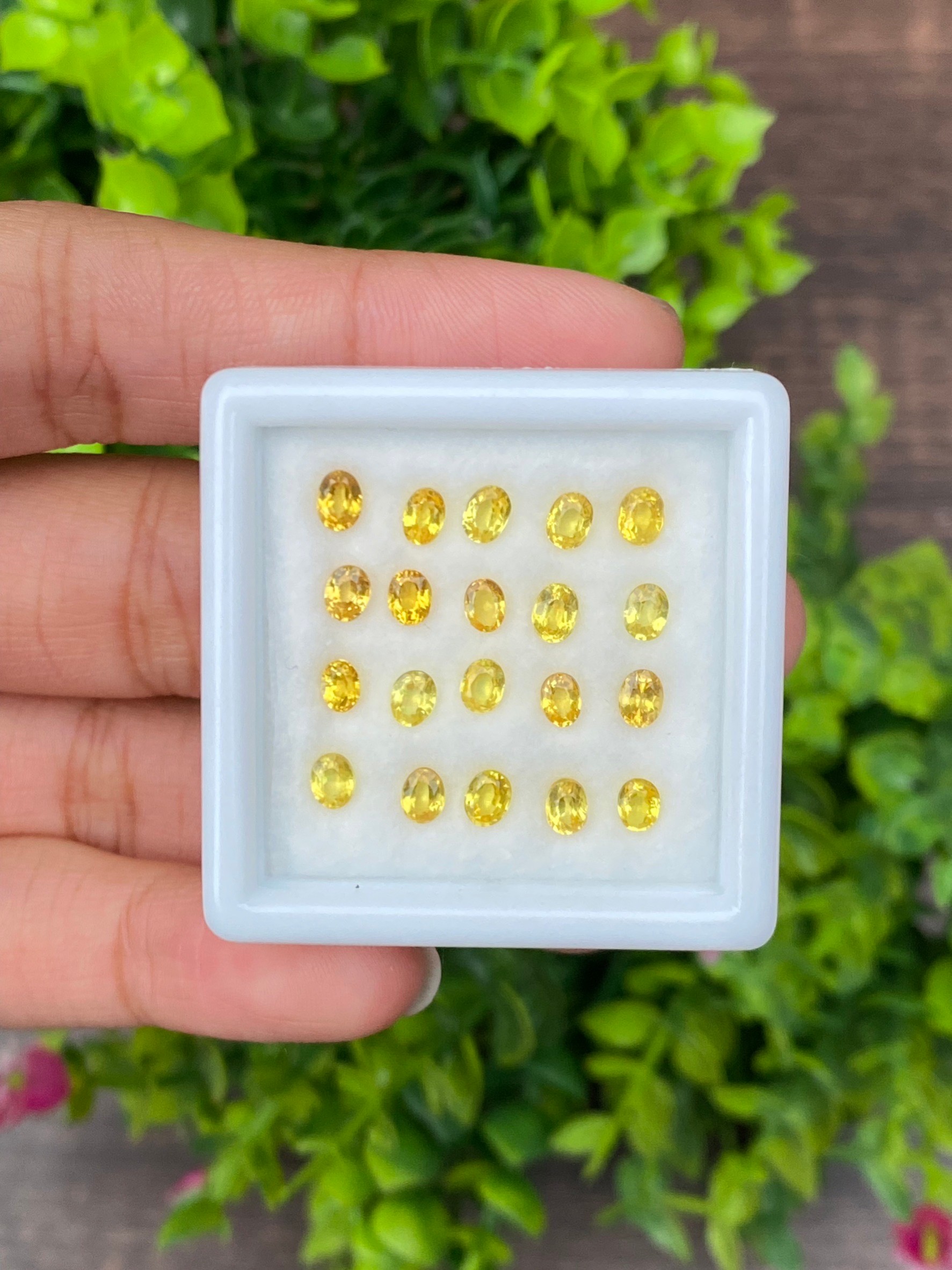 พลอย บุษราคัม yellow sapphire 5.05 กะรัต (Cts.) 20 เม็ด (Pcs.) พลอยแท้ อัญมณีมงคลประจําวันเกิด เครื่องประดับพลอย