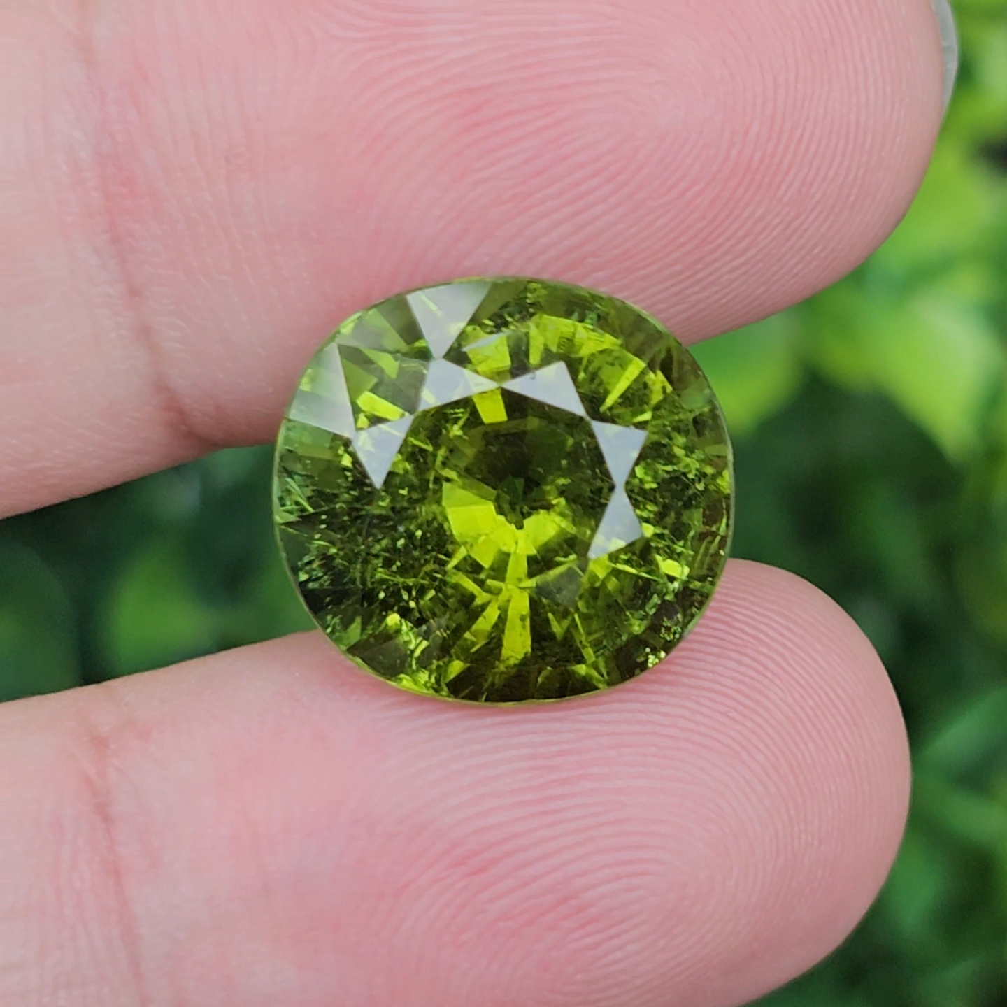 พลอย ทัวร์มาลีน Tourmaline 13.77 กะรัต (Cts.) พลอยแท้อัญมณีมงคล ประจําวันเกิด เครื่องประดับพลอย