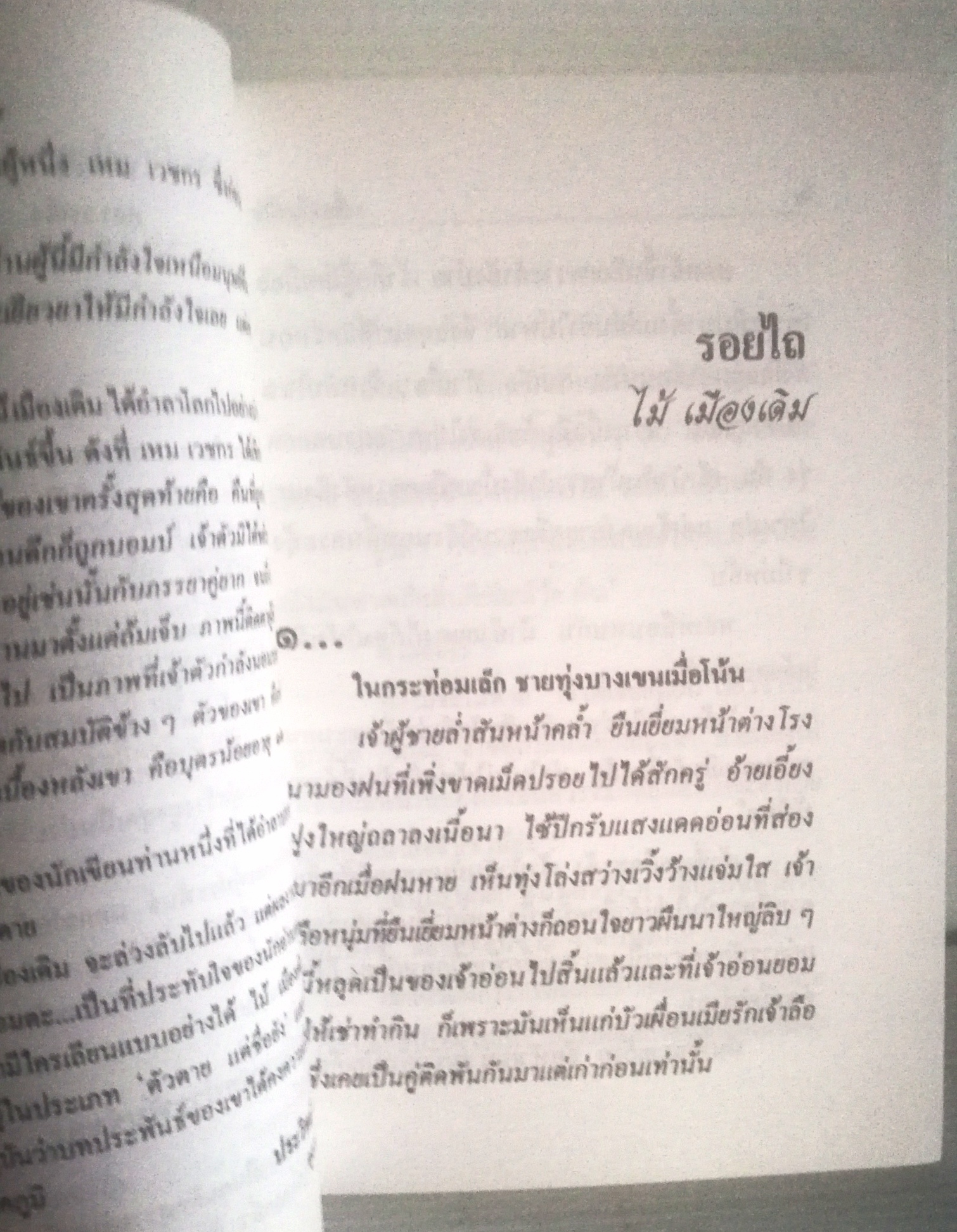 อมตะนิยายอ่านสนุก พิมพ์ปี 2537 ของ ไม้ เมืองเดิม "รอยไถ"