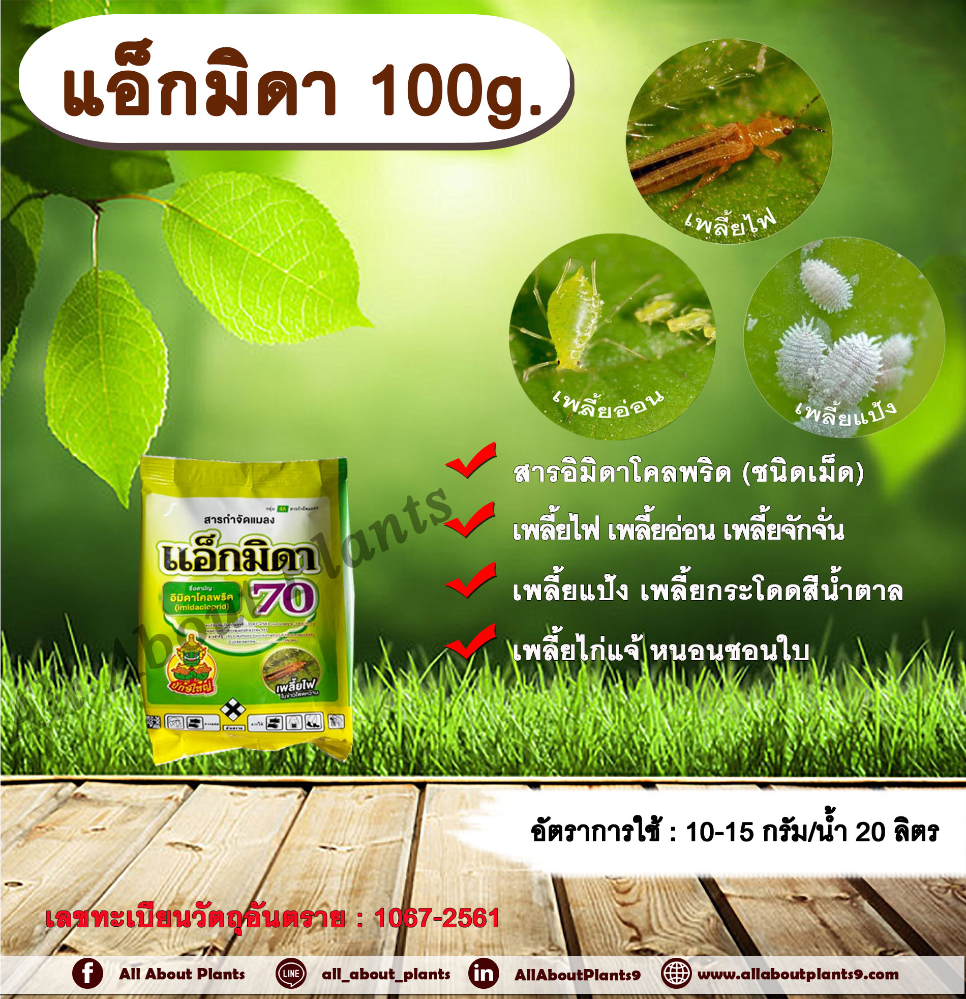 แอ็กมิดา 100g. อิมิดาโคลพริด ดูดซึม สารกำจัดเพลี้ย สารกำจัดแมลง สารกำจัดหนอน เพลี้ยไฟ เพลี้ยอ่อน เพลี้ยจักจั่น เพลี้ยแป้ง เพลี้ยกระโดดสีน้ำตาล เพลี้ยไก่แจ้ หนอนชอนใบ มวน แมลงสิงallaboutplants ชิ้น