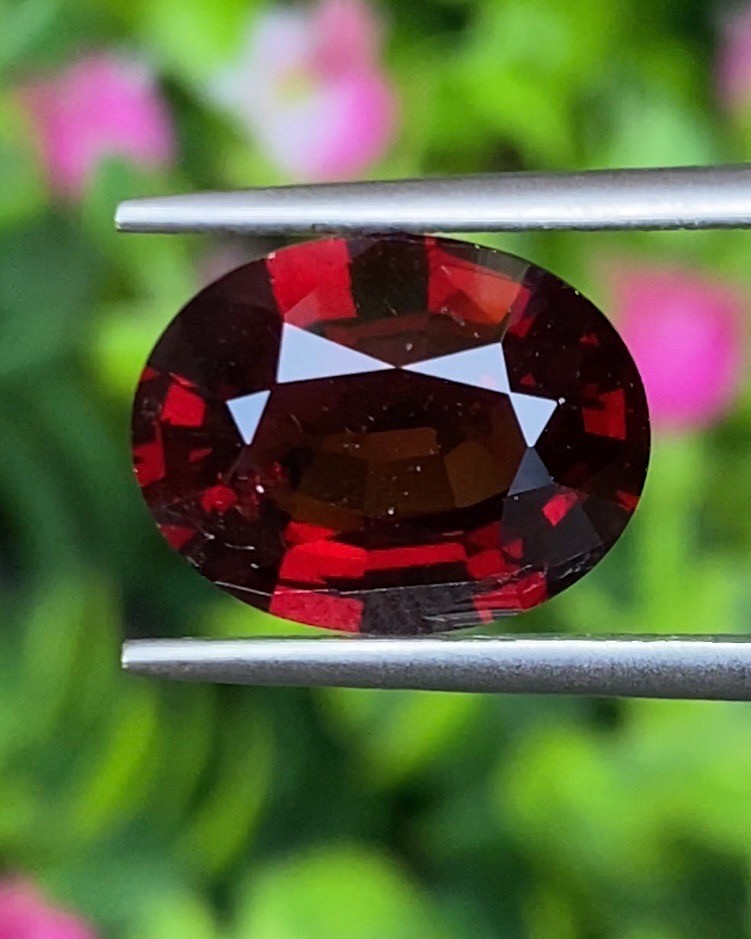 พลอย โกเมน Pyrope - Almandite Garnet 5.65 กะรัต (Cts.) พลอยแท้ อัญมณีมงคลประจําวันเกิด เครื่องประดับพลอย