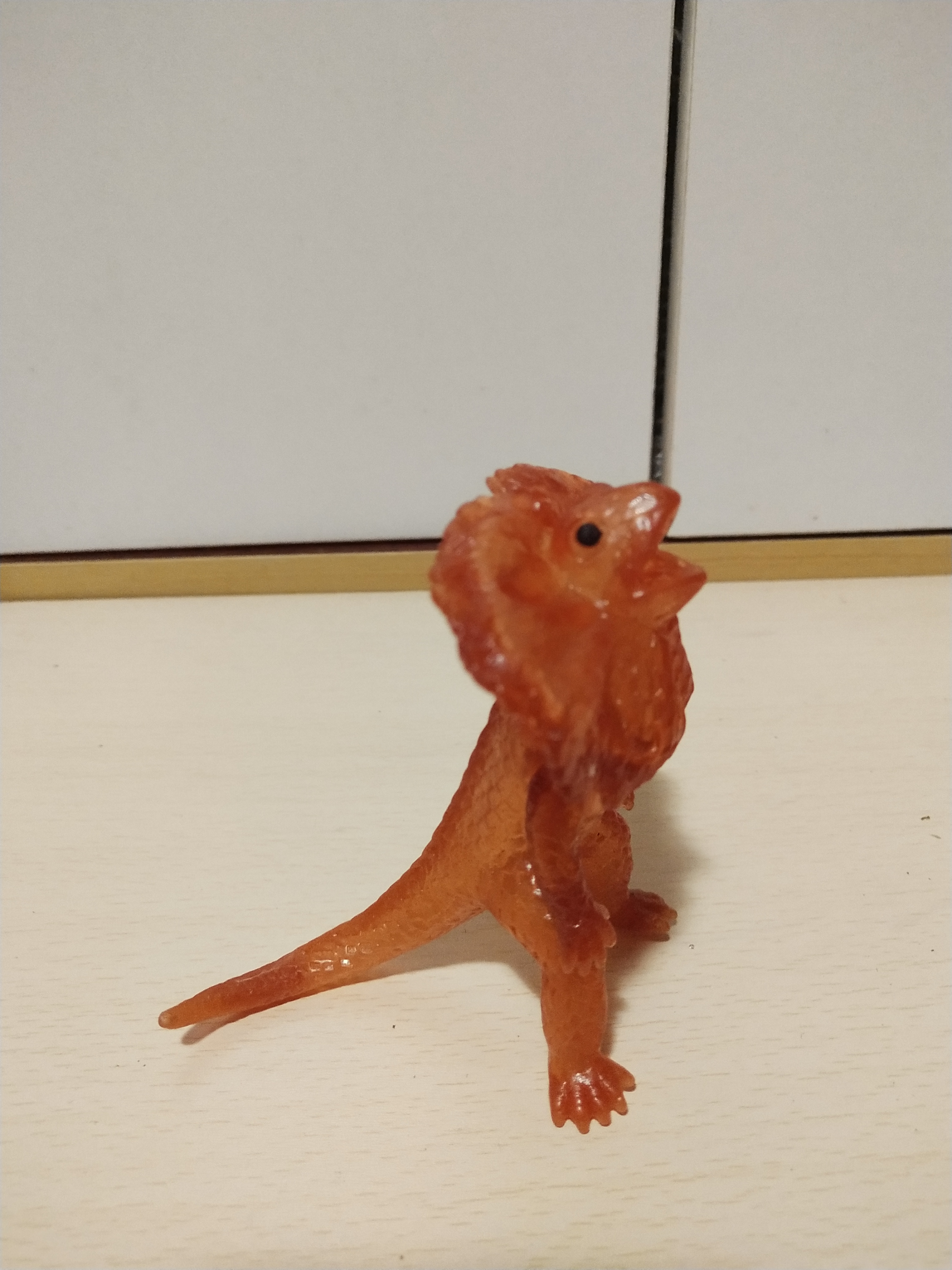 มีหลายภาพ, กิ้งก่ากายสิทธิ์ตัวยางใสสีส้ม