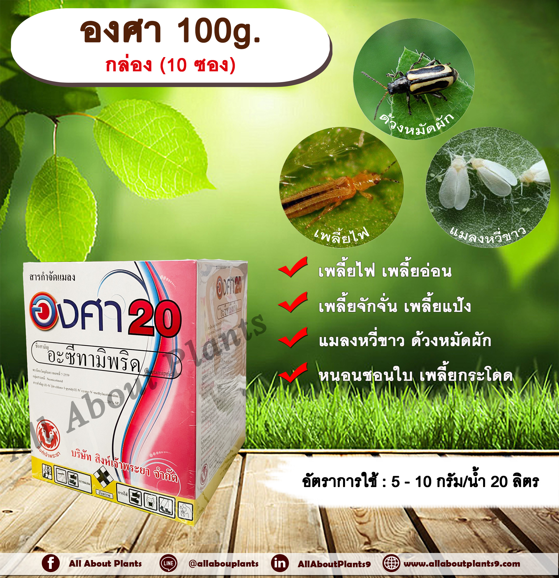องศา 100g. 1 กล่อง 10 ซอง อะซีทามิพริด อะเซทามิพริด สารกำจัดแมลง ดูดซึม กำจัด เพลี้ยไฟ แมลงหวี่ขาว ด้วงหมัดผัก เพลี้ยอ่อน เพลี้ยจักจั่น เพลี้ยแป้ง หนอนชอนใบ เพลี้ยกระโดด ชิ้น