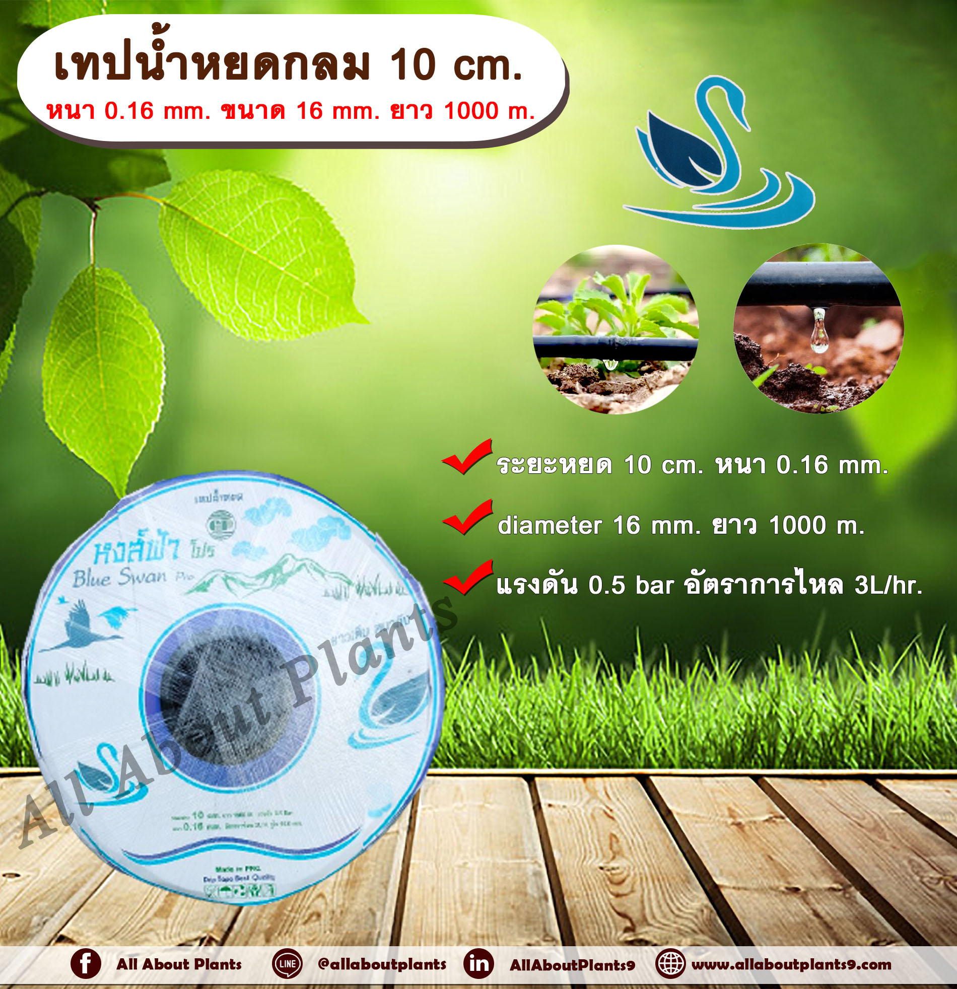 เทปน้ำหยด 10 cm. หนา 0.16 mm. ขนาด 16 mm. ยาว 1000 เมตร. ตราหงส์ฟ้า เทปน้ำหยด สายน้ำหยด แบบกลม ระยะห่างรู 10 cm. หนา 0.16 mm. ยาว 1000 m. ยาว 1000 เมตร Drip Tape ม้วน