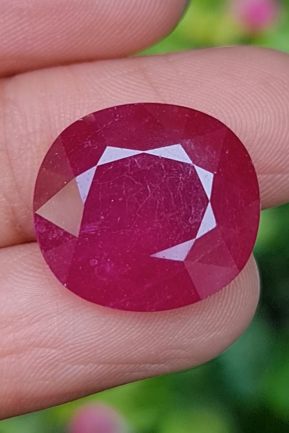 พลอย ทับทิม (Ruby Sapphire) 16.6 กะรัต (Cts.) พลอยแท้ อัญมณีมงคลประจําวันเกิด เครื่องประดับพลอย