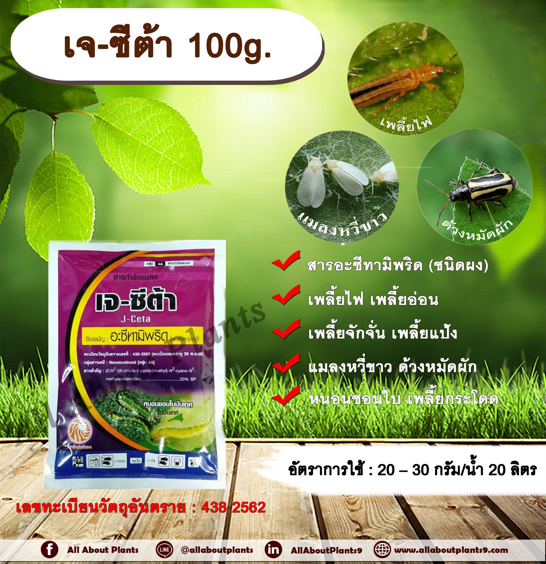 เจ - ซีต้า 100g. อะซีทามิพริด อะเซทามิพริด สารกำจัดแมลง ดูดซึม กำจัดเพลี้ย เพลี้ยไฟ แมลงหวี่ขาว ด้วงหมัดผัก เพลี้ยอ่อน เพลี้ยจักจั่น เพลี้ยแป้ง หนอนชอนใบ เพลี้ยกระโดด ชิ้น