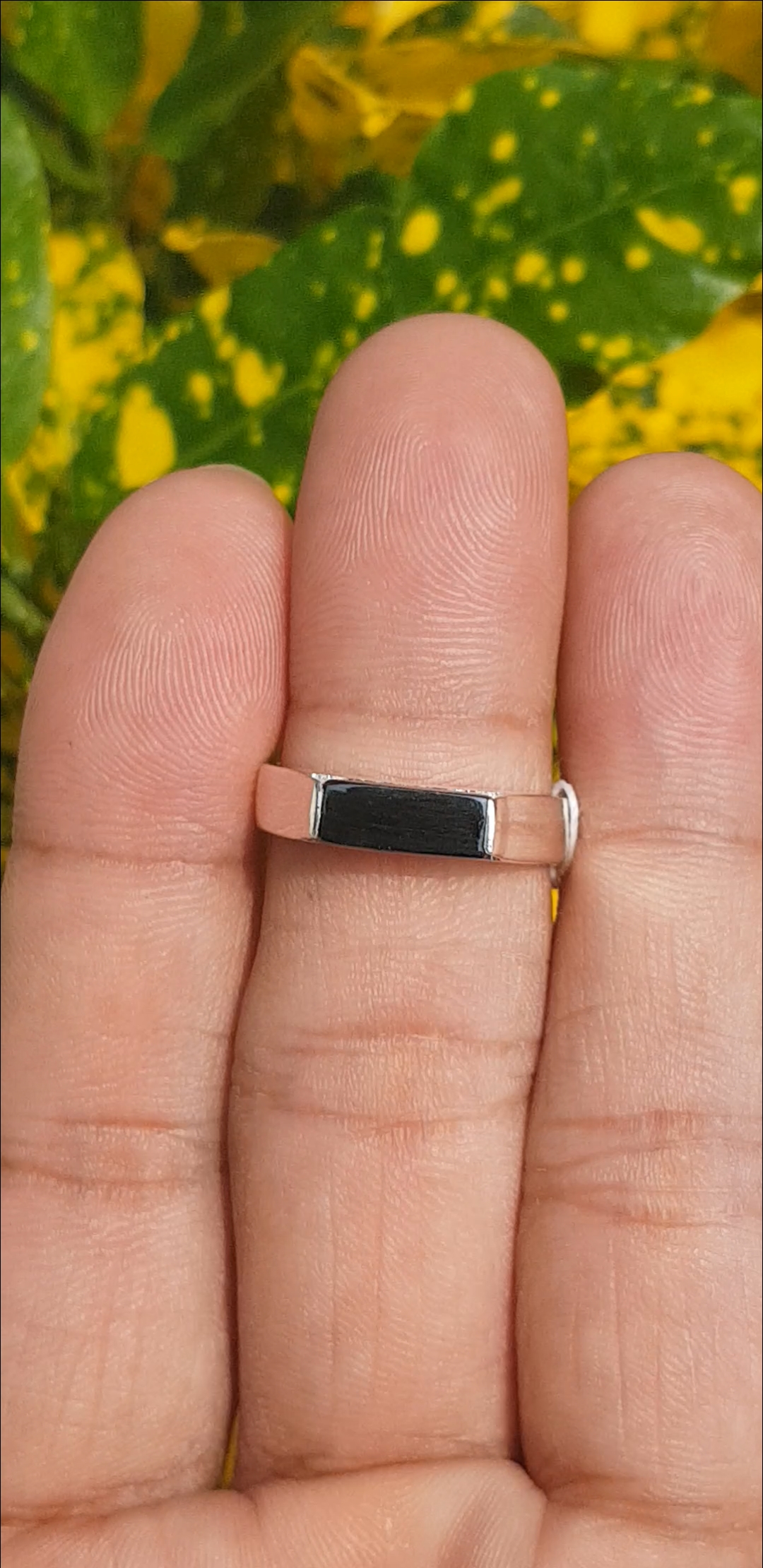 หยก พม่า แท้ Jade แหวนหยก หยกดำ ส่องเขียว (Black jadeite) 2.72 กะรัต (Cts.) Size 59 ดิบ ไม่ผ่านการปรับปรุง (Type A) พม่า (Myanmar)