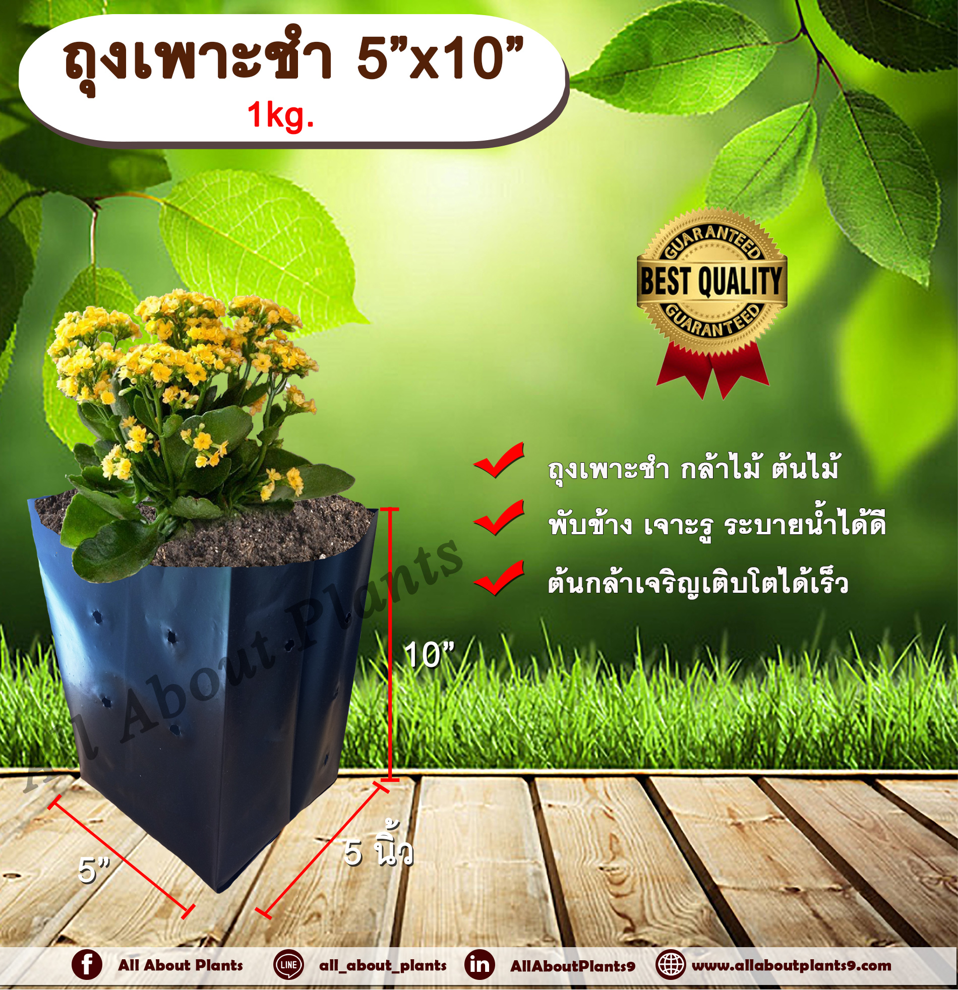ถุงเพาะชำ 5*10 1 kg. ถุงเพาะชำสีดำ ถุงเพาะชำกล้าไม้ ต้นไม้ ถุงดำ allaboutplants ชิ้น