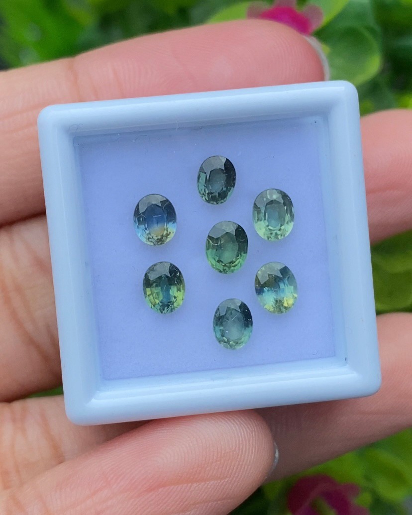 พลอย แซฟไฟร์ 3 สี Tri Color Sapphire 7 เม็ด 3.24 กะรัต (Cts.) พลอยแท้ อัญมณีมงคลประจําวันเกิด เครื่องประดับพลอย