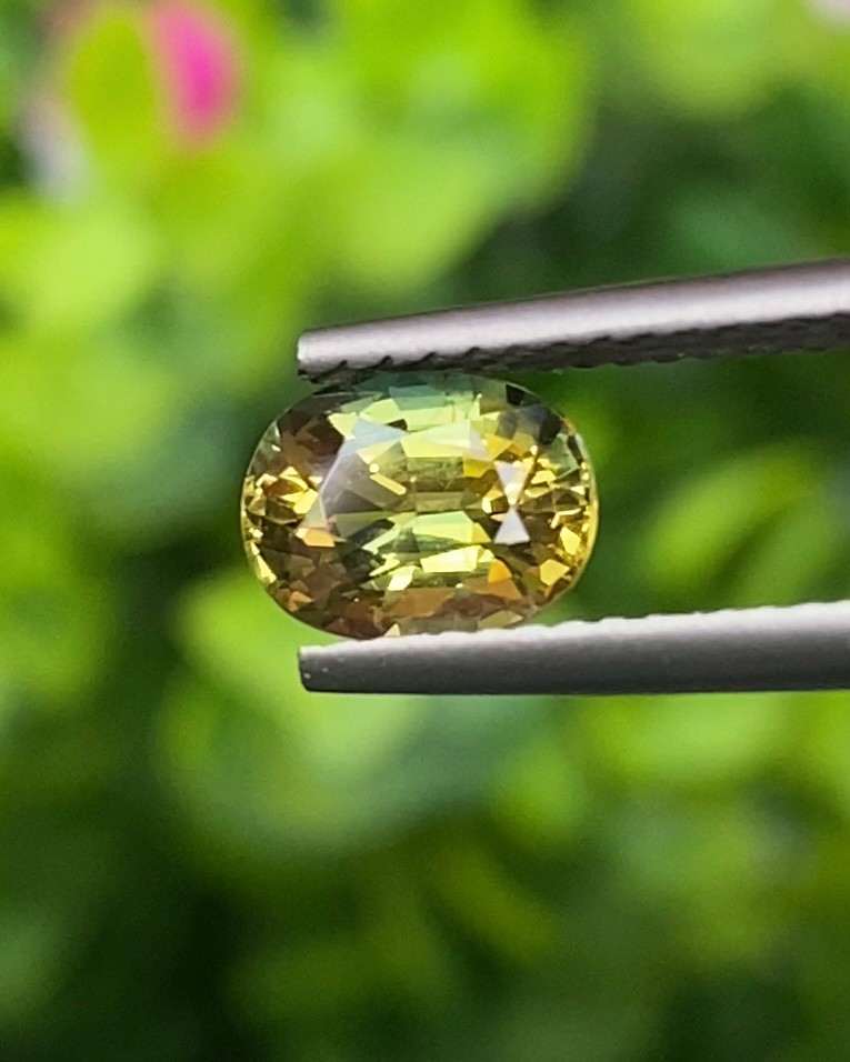 พลอย แซฟไฟร์ 2 สี Bi-Color Sapphire 1.37 กะรัต (Cts.) พลอยแท้ อัญมณีมงคลประจําวันเกิด เครื่องประดับพลอย