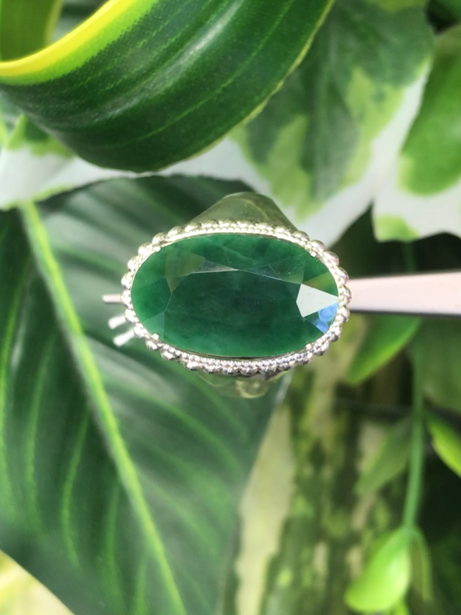 หยก พม่า แท้ Jade แหวนหยก 翡翠戒指 (Jadeite ring) ดิบ (Size) 58 ไม่ผ่านการปรับปรุง (Type A) พม่า (Myanmar)