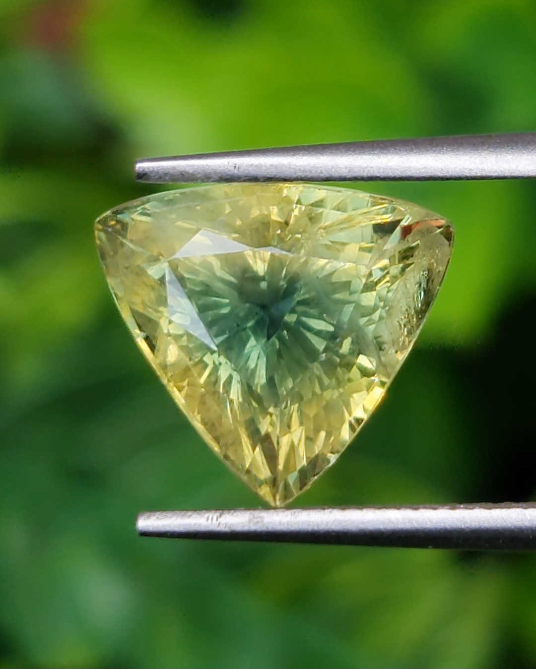 พลอย แซฟไฟร์ 2 สี Bi-Color Sapphire 5.19 กะรัต (Cts.) พลอยแท้ อัญมณีมงคลประจําวันเกิด เครื่องประดับพลอย