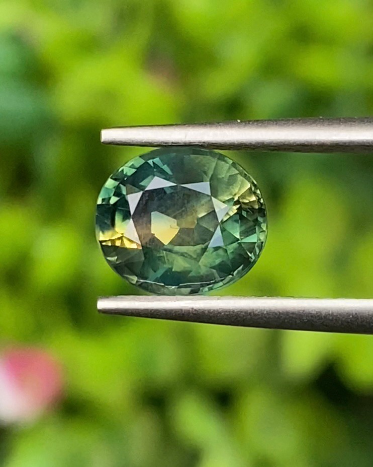 พลอย แซฟไฟร์ 2 สี Bi-Color Sapphire 2.32 กะรัต (Cts.) พลอยแท้ อัญมณีมงคลประจําวันเกิด เครื่องประดับพลอย