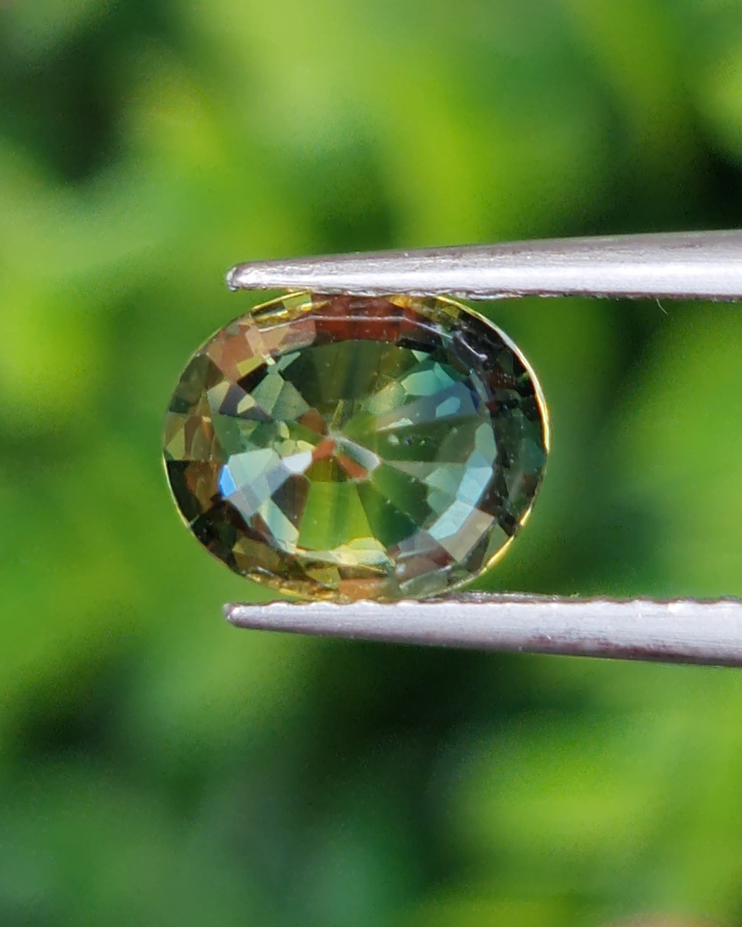 พลอย แซฟไฟร์ 2 สี Bi Color Sapphire 1.51 กะรัต (Cts.) พลอยแท้ อัญมณีมงคลประจําวันเกิด เครื่องประดับพลอย