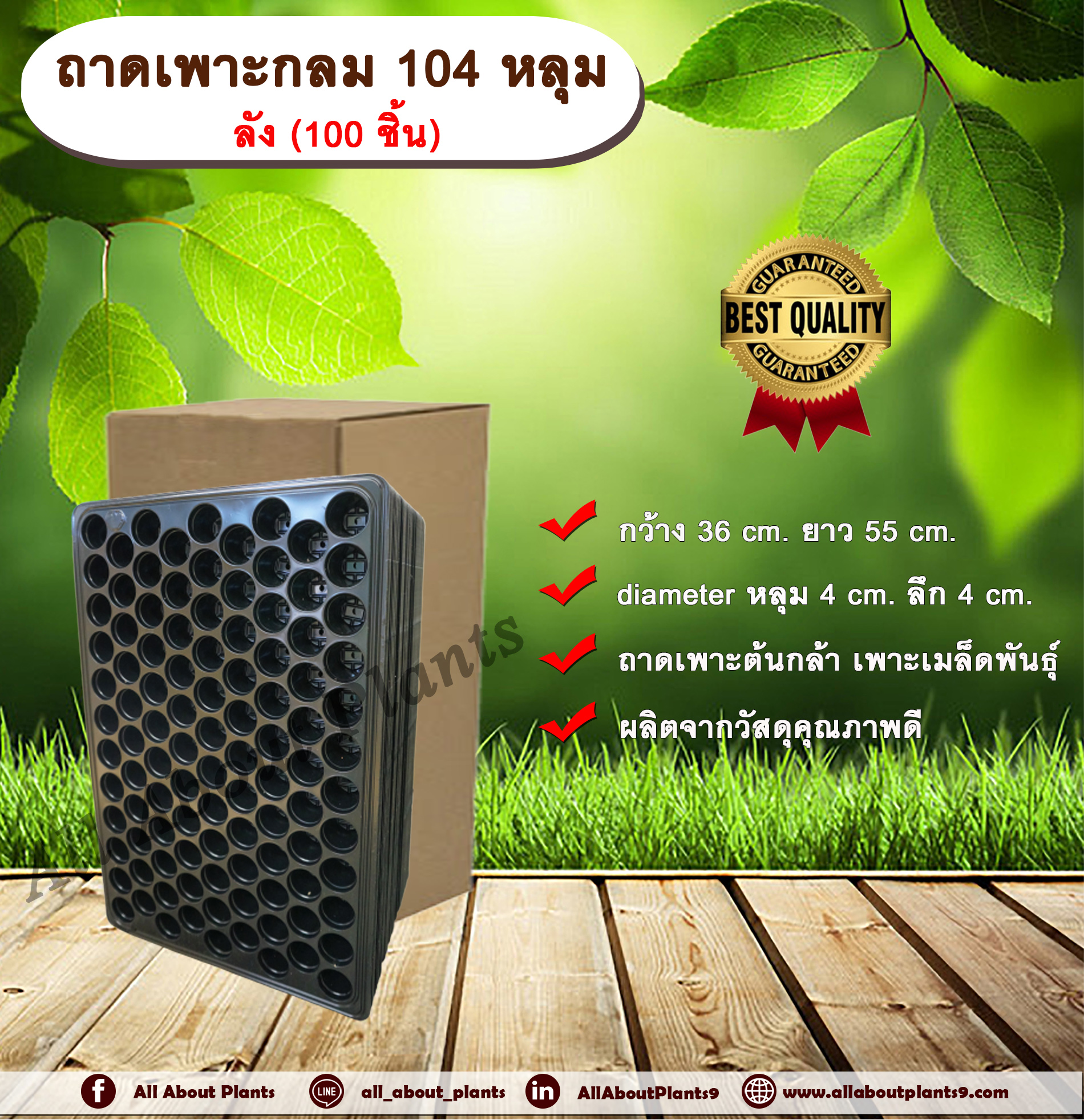 ถาดเพาะกลม 104 หลุม ลัง (100 ชิ้น) ถาดเพาะต้นกล้า ถาดเพาะเมล็ดพันธุ์ ขนาด 104 หลุม แบบกลม allaboutplants ชิ้น