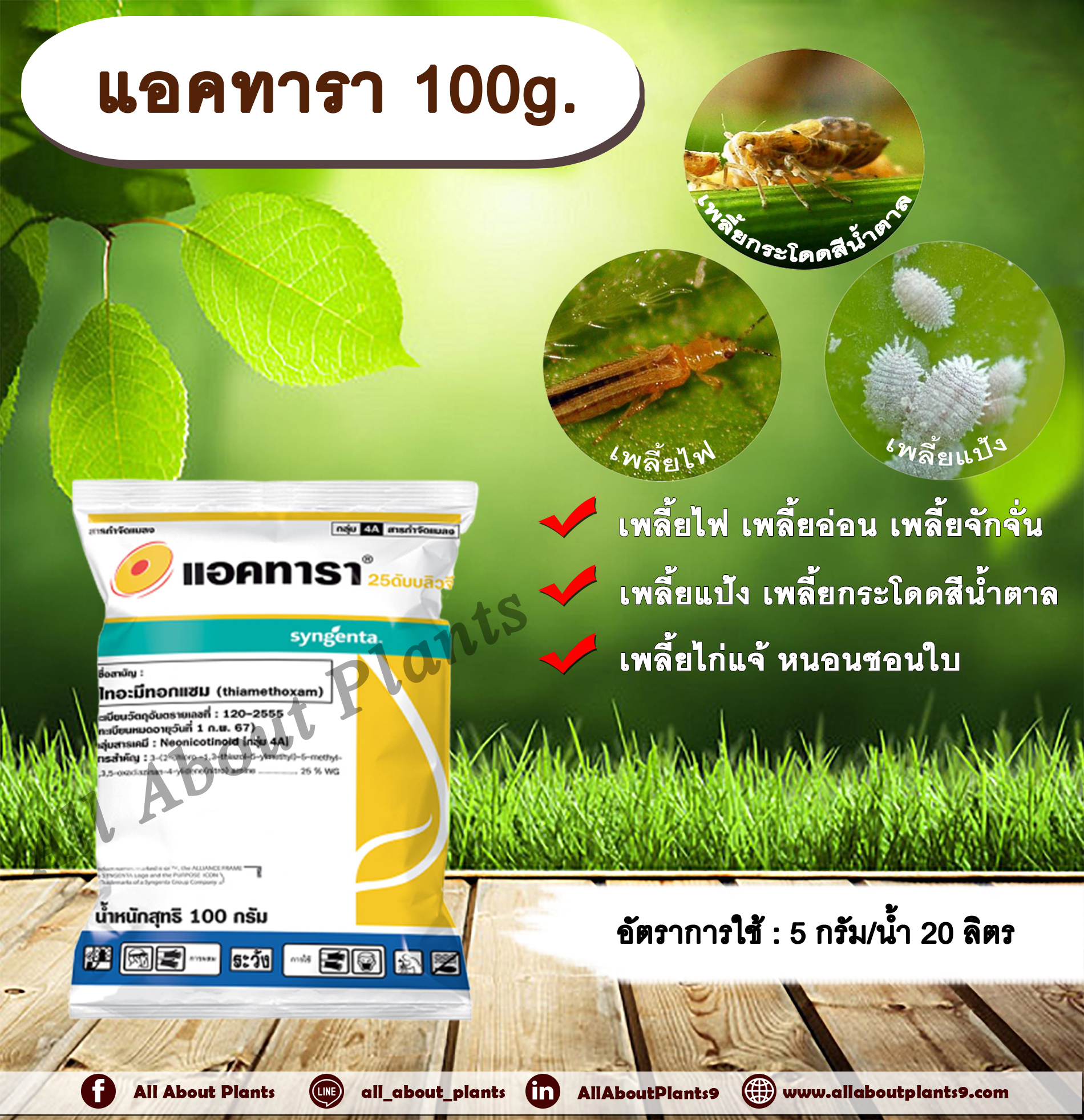 แอคทารา 100g. ไทอะมีทอกแซม สารกำจัดแมลง เพลี้ยไฟ เพลี้ยอ่อน เพลี้ยกระโดด แมลงหวี่ขาว หนอนชอนใบ แมลงปากดูด ซินเจนทา allaboutplants ชิ้น