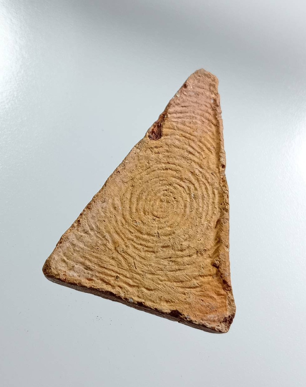 ผ3969 สมเด็จนางพญา หลังลายนิ้วมือ ไม่ทราบที่