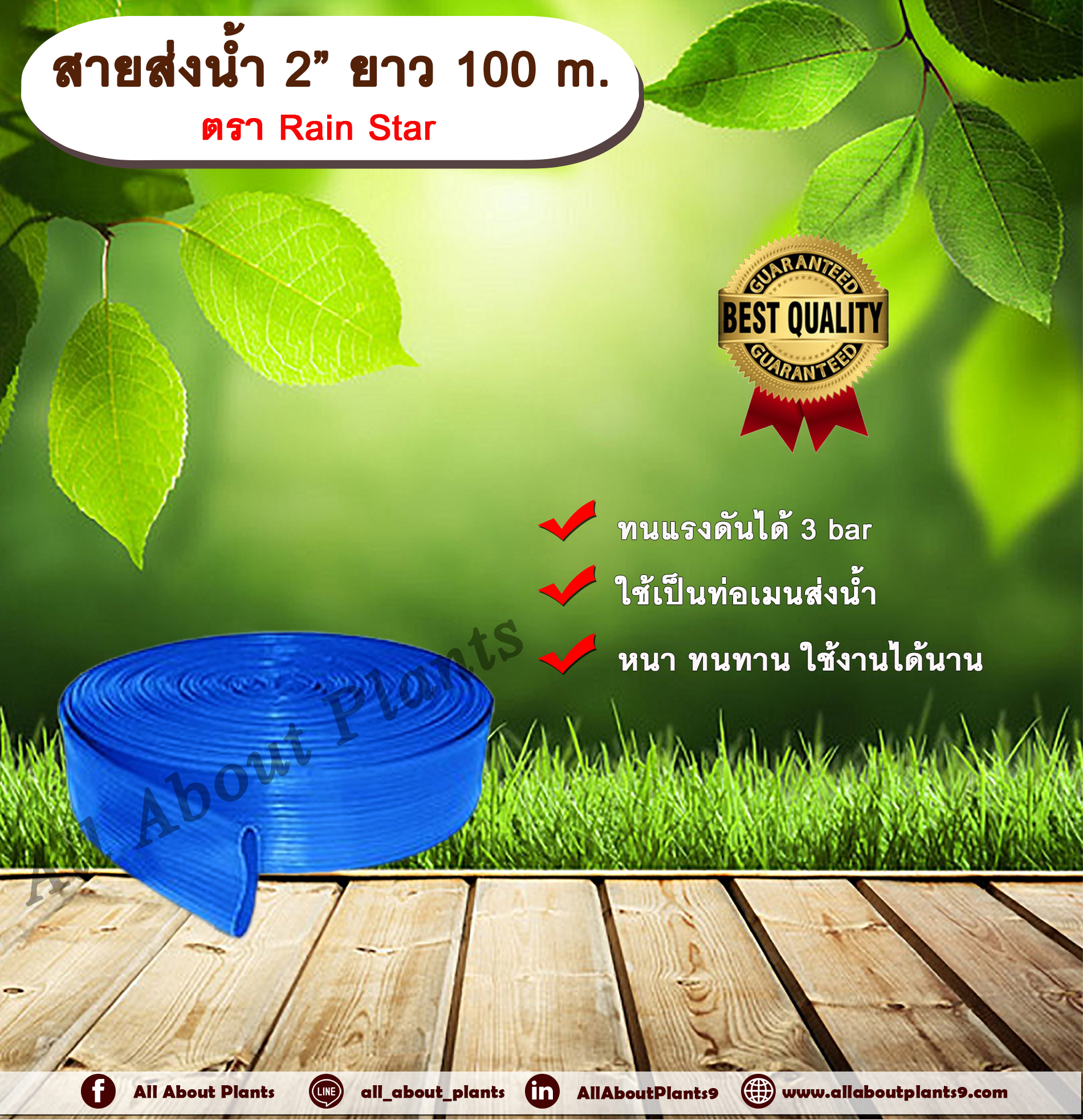สายส่งน้ำ 2” ยาว 100 m. ตรา Rain Star สายส่งน้ำ ฟ้า 2 นิ้ว ยาว 100เมตร สายสำหรับส่งน้ำ ส่งน้ำสำหรับทำเกษตร สามารถใช้แทนท่อ PVC ได้ allaboutplnats ชิ้น