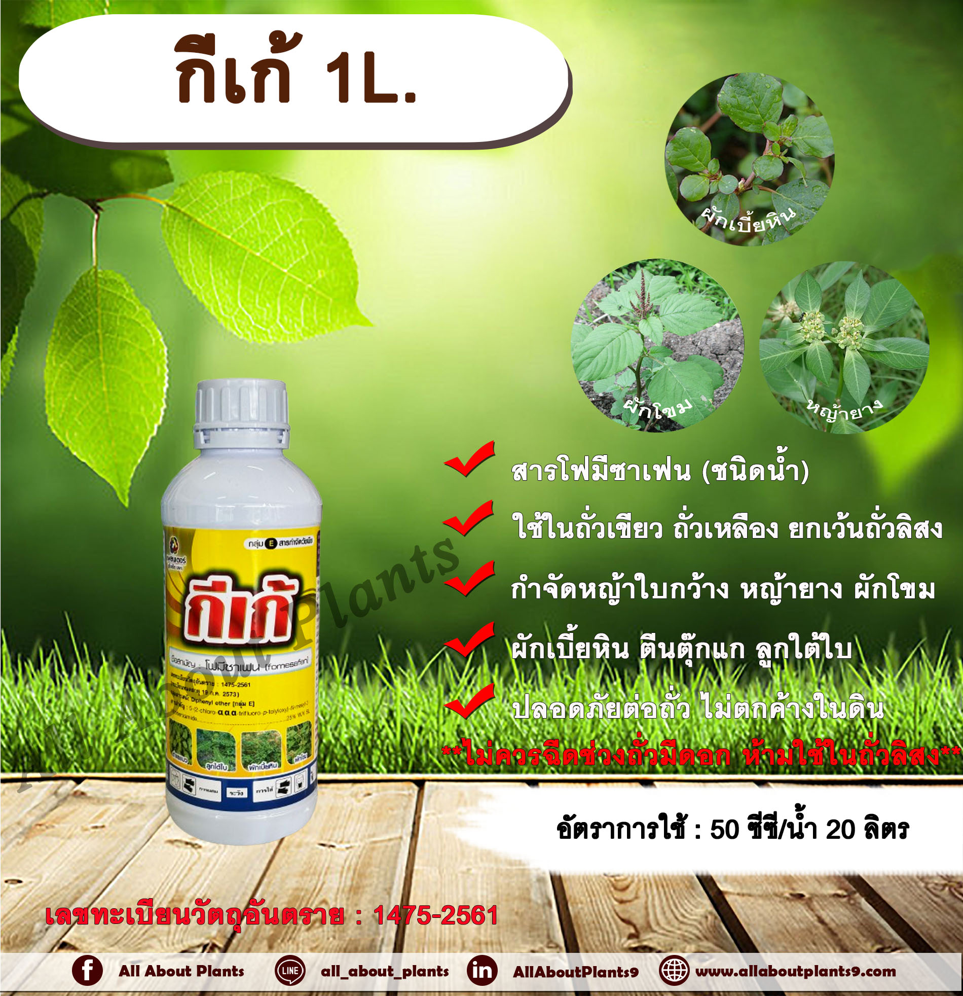 กีเก้ 1L. โฟมีซาเฟน สารกำจัดหญ้า ใบกว้าง ในถั่วเขียวผิวมัน ถั่วเขียวผิวดำ ถั่วเหลือง สารกำจัดวัชพืช allaboutplants ขวด
