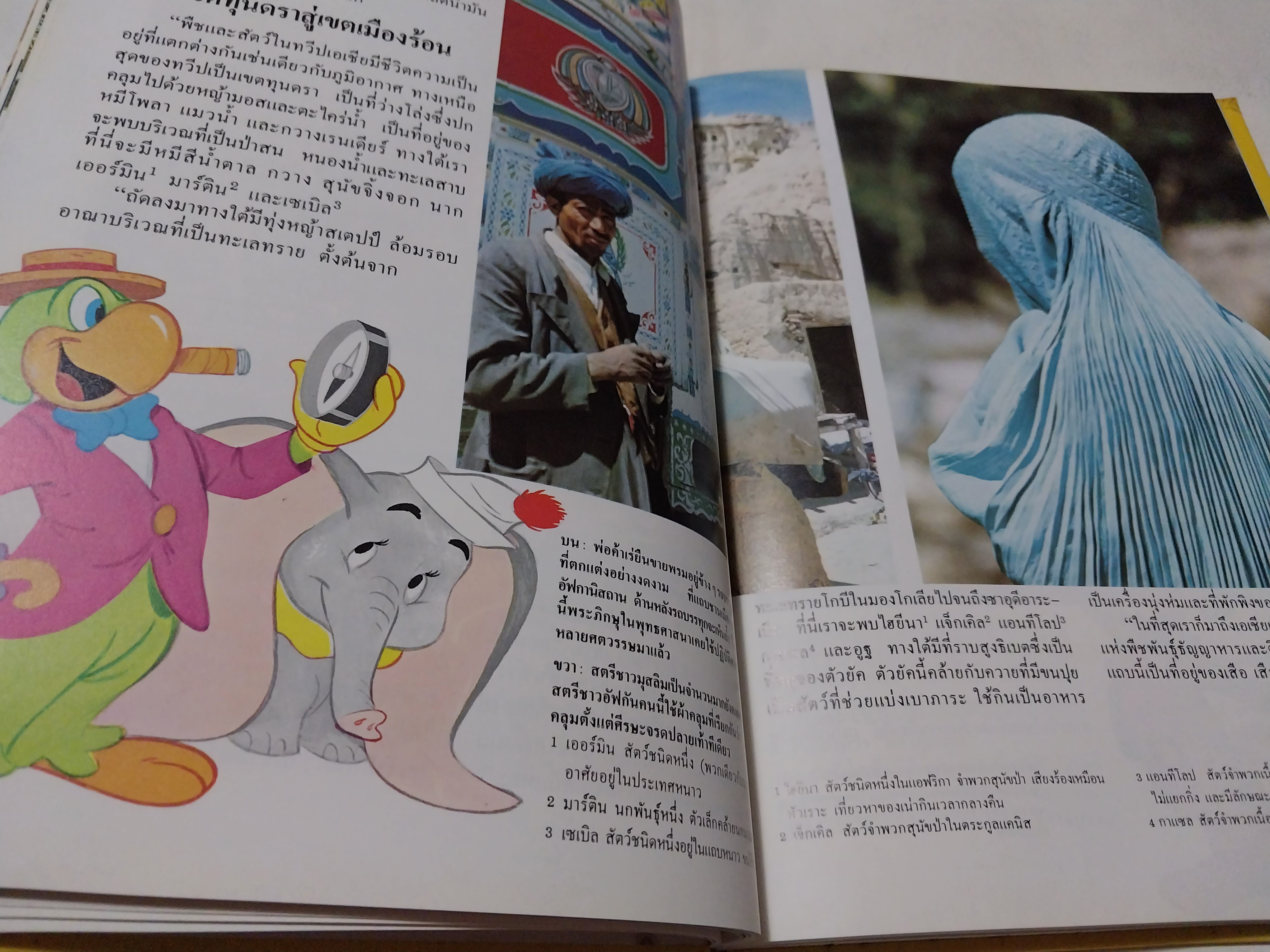 หนังสือดิสนีย์ เล่ม 13 เรื่องทวีป หนังสือปกแข็ง ตัวการ์ตูนดิสนีย์เล่าเรื่อง โลกมหัศจรรย์ ในเล่มนี้คุณหนูๆจะได้ทราบเกี่ยวกับ