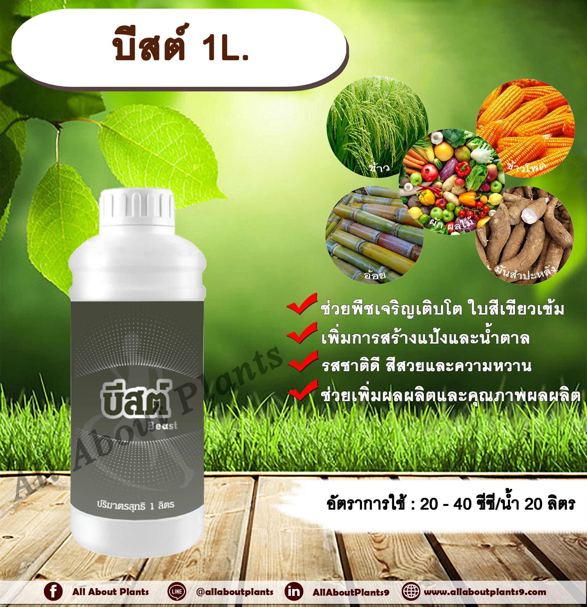 บีสต์ 1L. ธาตุอาหารรอง ธาตุอาหารเสริม เหล็ก กำมะถัน เร่งโต ใบเขียวเข้ม สร้างแป้ง น้ำตาล รสชาติดี สีสวย เร่งหวาน เพิ่มผลผลิต เพิ่มคุณภาพผลผลิต ฟื้นสภาพต้น พืชขาดธาตุเหล็ก แก้ใบเหลือง ชิ้น