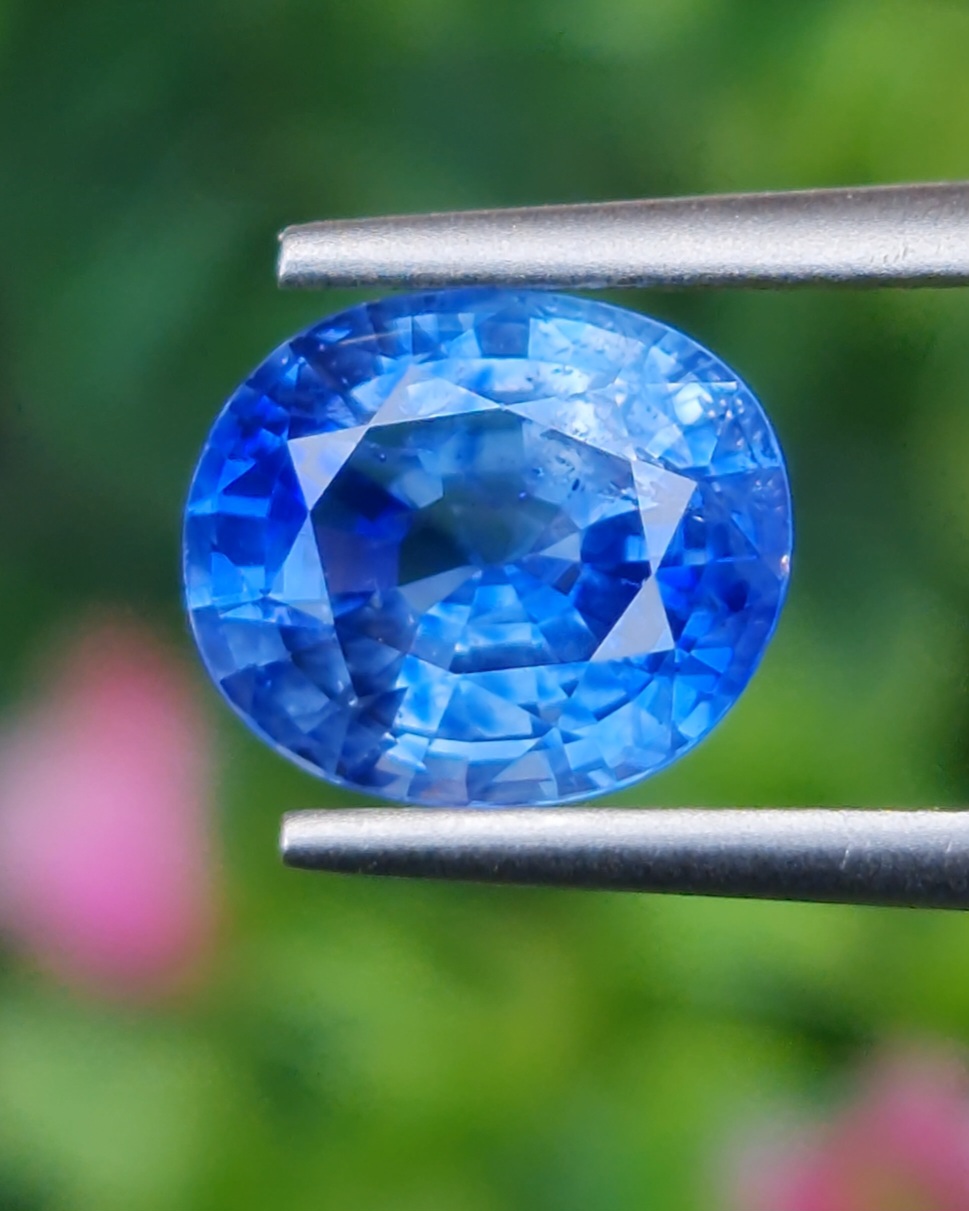 พลอย ไพลิน Blue Sapphire 2.48 กะรัต (Cts.) พร้อมใบเซอร์ พลอยแท้ อัญมณีมงคลประจําวันเกิด เครื่องประดับพลอย