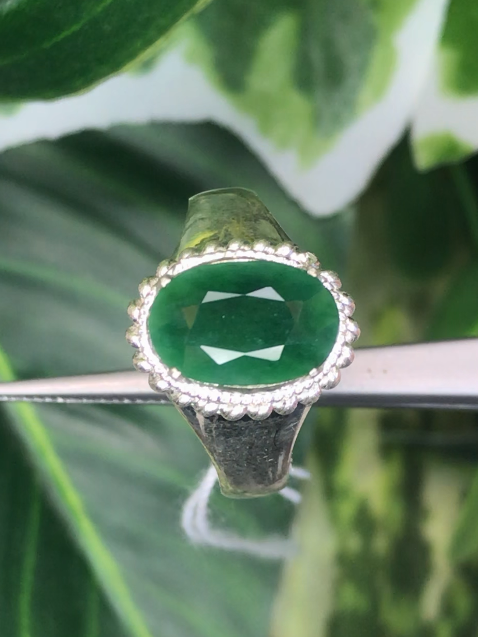 หยก พม่า แท้ Jade แหวนหยก 翡翠戒指 (Jadeite ring) ดิบ (Size) 55 ไม่ผ่านการปรับปรุง (Type A) พม่า (Myanmar)