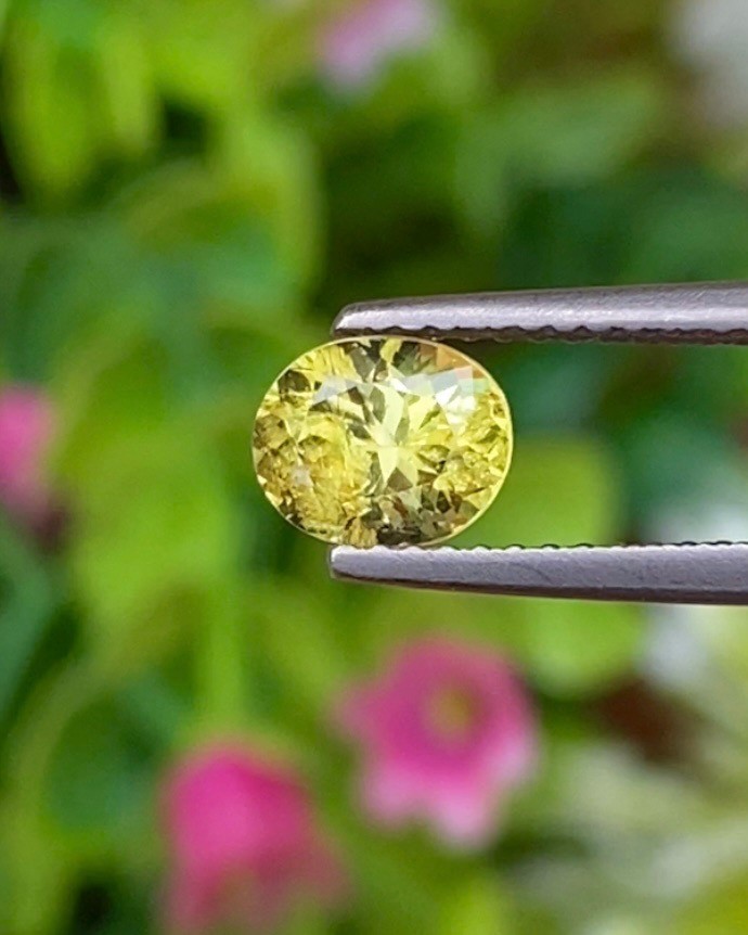 พลอย คริโซเบริล (Chrysoberyl) 1.06 กะรัต (Cts.) พลอยแท้ อัญมณีมงคลประจําวันเกิด เครื่องประดับพลอย