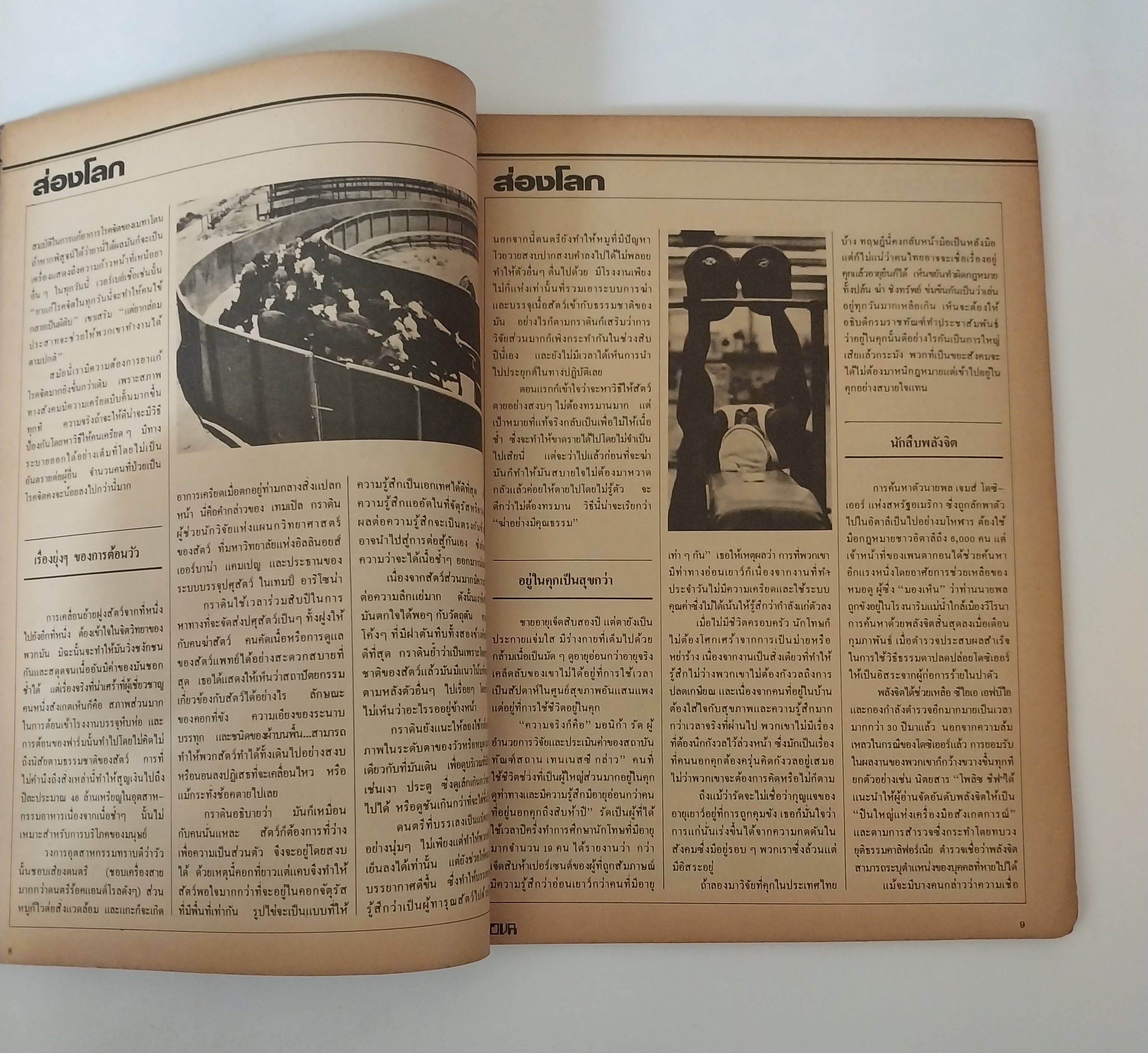 มีหลายภาพ, นิตยสารเก่าโนวา Nova ฉบับที่ 8 ตุลาคม 2525