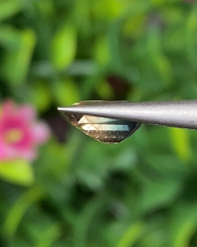 พลอย แซฟไฟร์ 2 สี Bi-Color Sapphire 1.47 กะรัต (Cts.) พลอยแท้ อัญมณีมงคลประจําวันเกิด เครื่องประดับพลอย