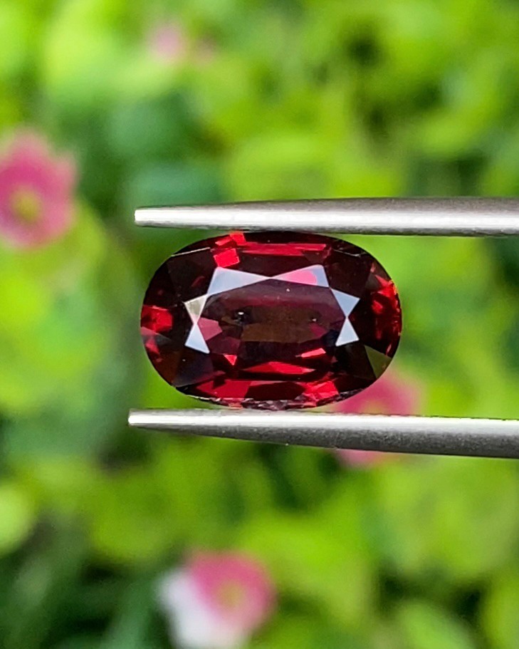 พลอย โรโดไลต์ กาเน็ท Rhodolite Garnet 3.00 กะรัต Cts.พลอยแท้ อัญมณีมงคลประจําวันเกิด เครื่องประดับพลอย