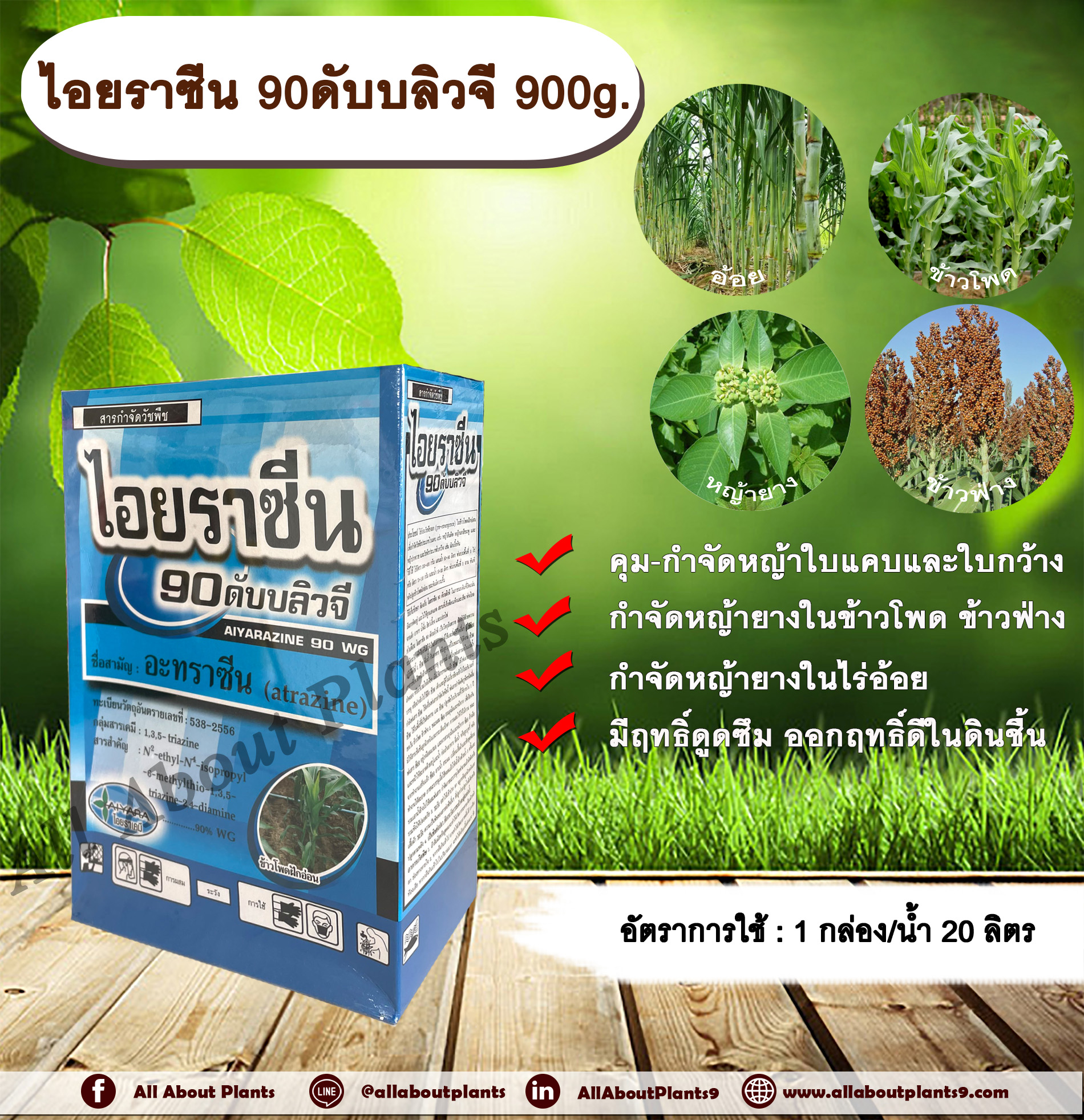 ไอยราซีน 90ดับบลิวจี 900g. อาทราซีน อะทราซีน สารคุมและกำจัดวัชพืช กำจัดหญ้ายาง ในไร่ข้าวโพด ข้าวฟ่าง อ้อย คุมหญ้า กำจัดหญ้า ใบแคบและใบกว้าง แบบดูดซึม ชนิดเม็ด ชิ้น