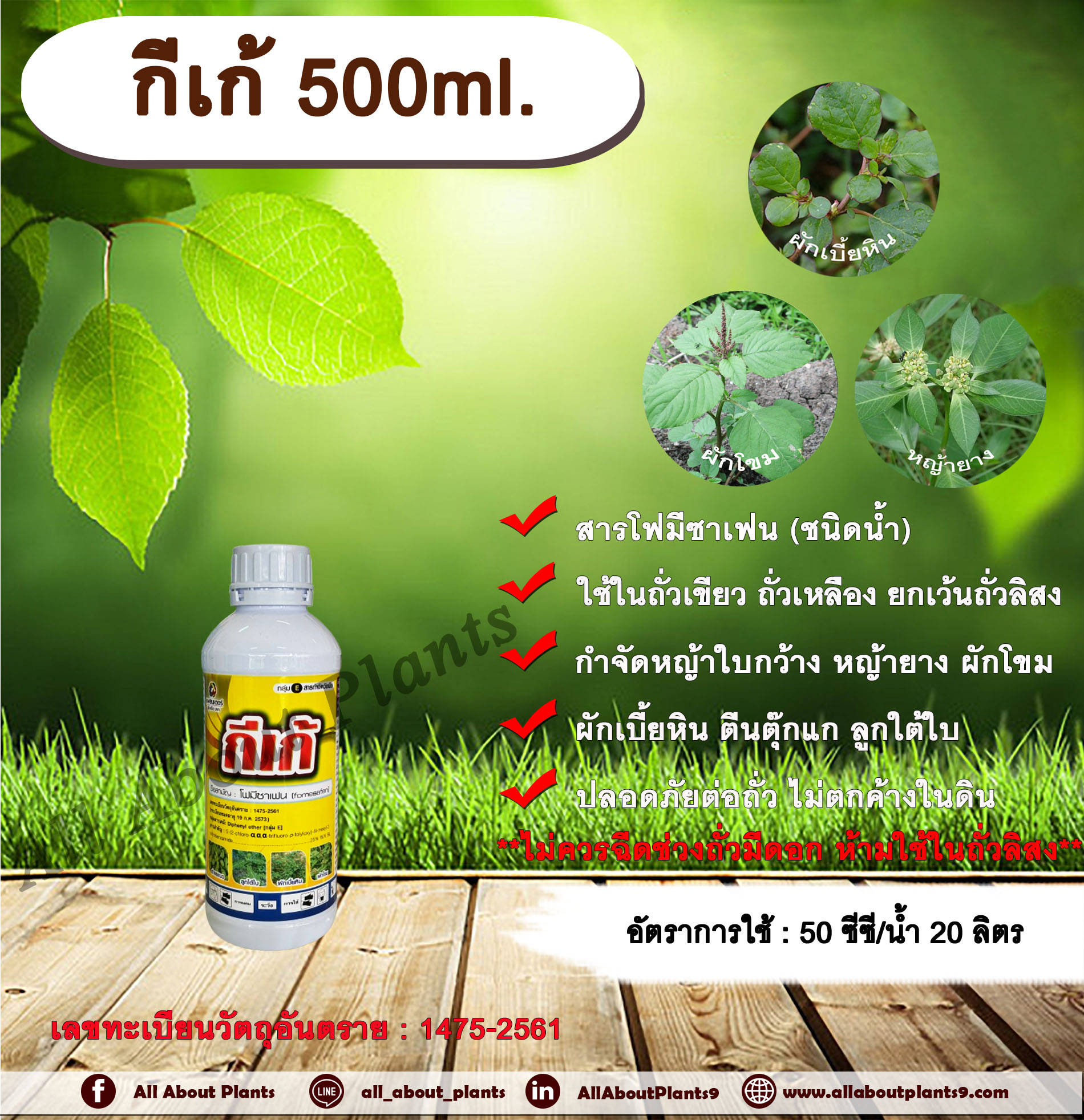 กีเก้ 500ml. โฟมีซาเฟน สารกำจัดหญ้า ใบกว้าง ในถั่วเขียวผิวมัน ถั่วเขียวผิวดำ ถั่วเหลือง สารกำจัดวัชพืช allaboutplants ขวด