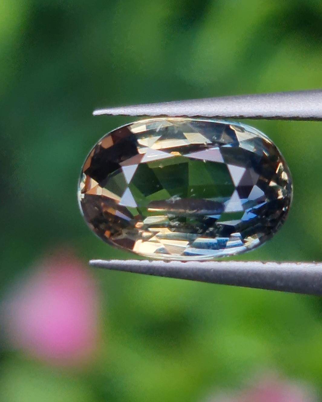 พลอย แซฟไฟร์ 2 สี Bi-Color Sapphire 2.05 กะรัต (Cts.) พลอยแท้ อัญมณีมงคลประจําวันเกิด เครื่องประดับพลอย