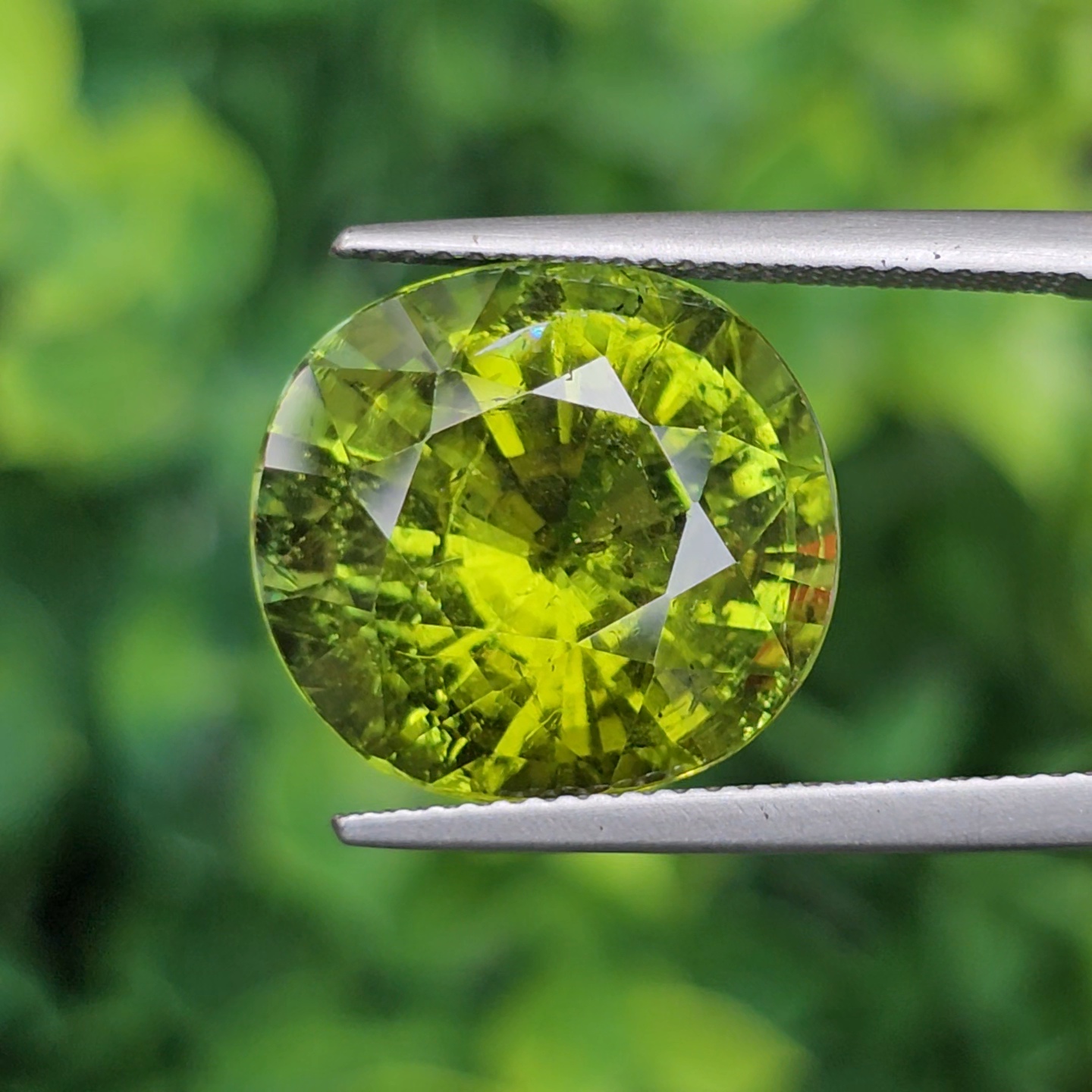 พลอย ทัวร์มาลีน Tourmaline 13.77 กะรัต (Cts.) พลอยแท้อัญมณีมงคล ประจําวันเกิด เครื่องประดับพลอย