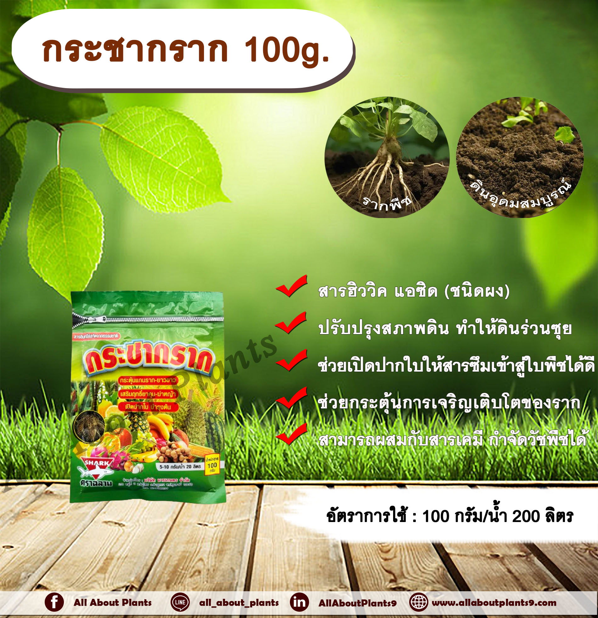 กระชากราก 100g. สารฮิววิค แอซิด ปรับปรุงสภาพดิน ทำให้ดินร่วนซุย ช่วยปรับสภาพความเป็นกรด ด่าง แก้ปัญหาดินเค็ม ดินเปรี้ยว ช่วยเปิดปากใบ ทำให้สารแทรกซึมเข้าสู่ใบพืชได้ดีขึ้น ซอง
