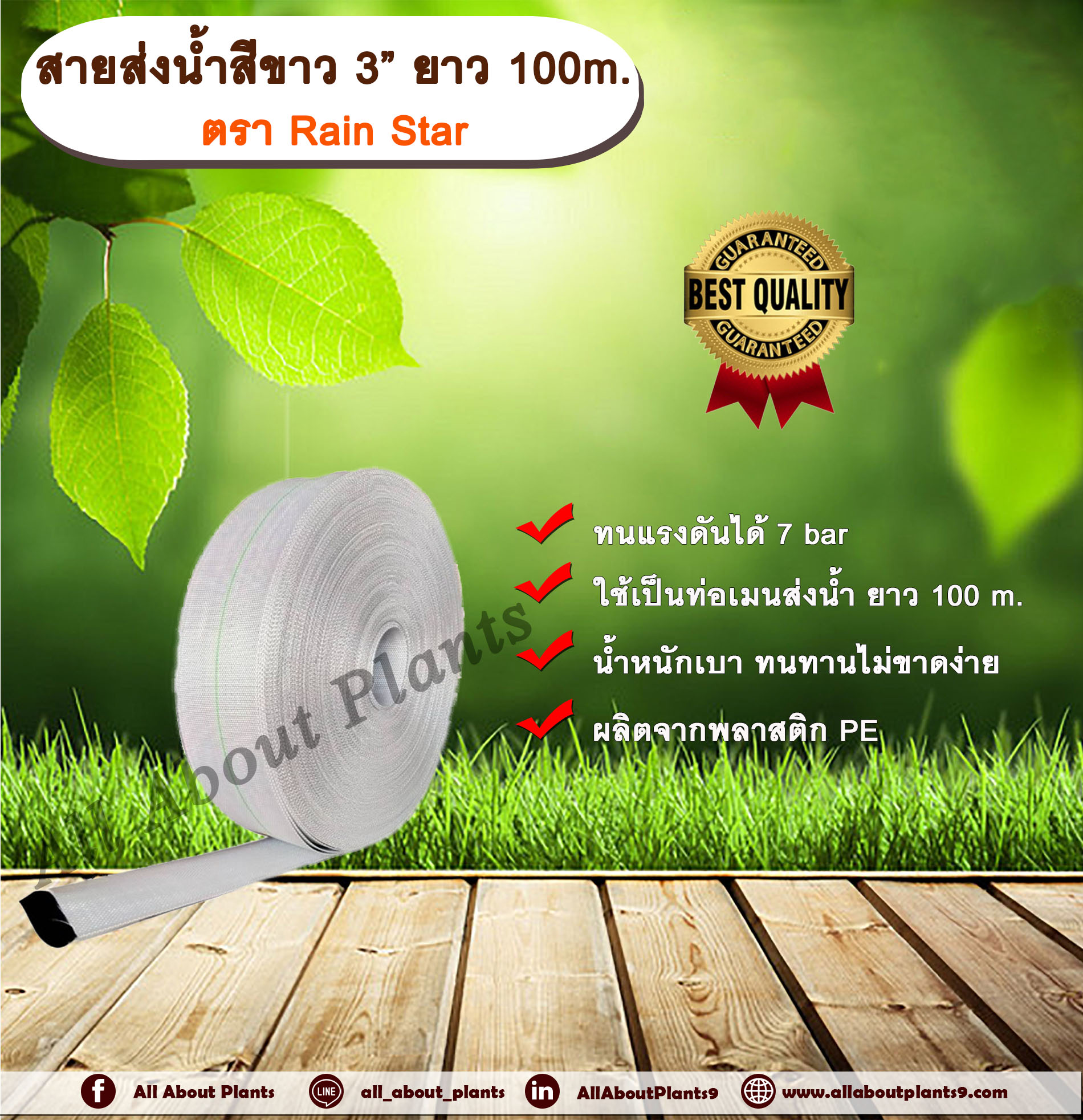 สายส่งน้ำสีขาว 3” ยาว 100m. ตรา Rain Star สายส่งน้ำ สายส่งน้ำ PE คุณภาพสูง สายส่งน้ำสีขาว สายส่งน้ำสีขาว 3นิ้ว ยาว 100เมตร สายสำหรับส่งน้ำ ส่งน้ำสำหรับทำเกษตร ม้วน