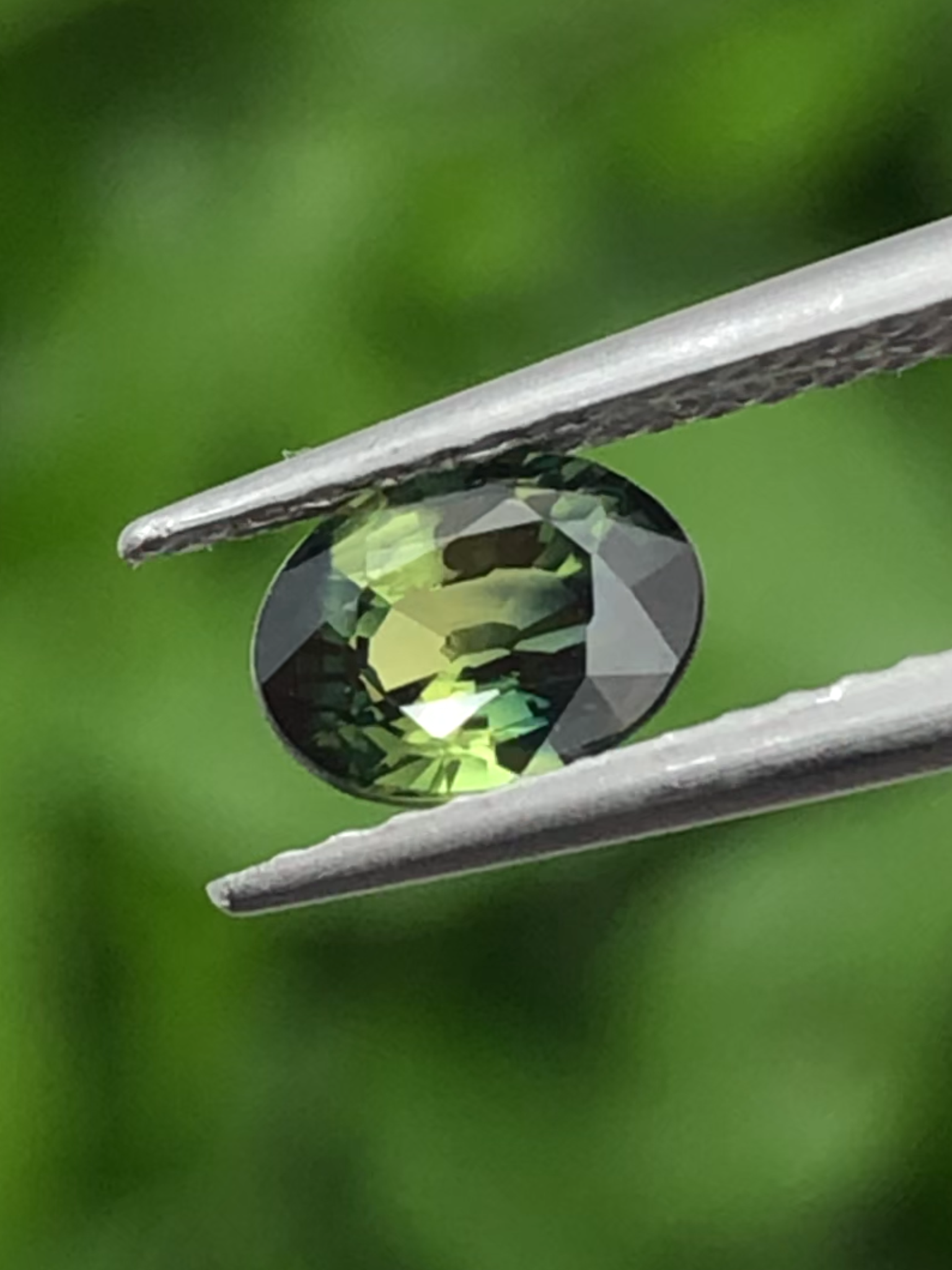 พลอย แซฟไฟร์ 2 สี Bi Color Sapphire 0.85 กะรัต (Cts.) พลอยแท้ อัญมณีมงคลประจําวันเกิด เครื่องประดับพลอย