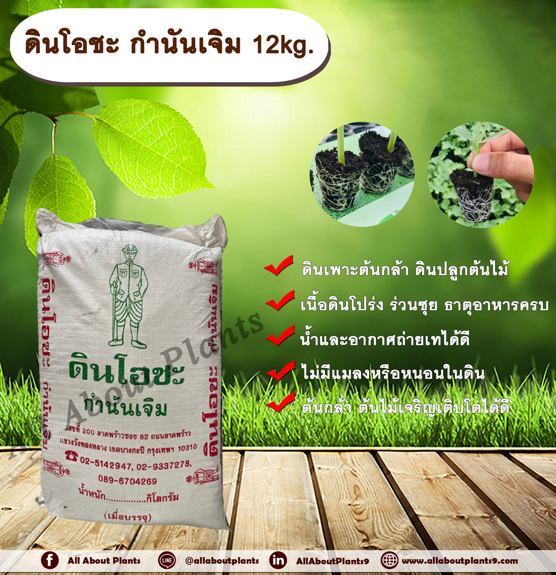 ดินโอชะ กำนันเจิม 12 กิโลกรัม (จำกัด 2 ถุง ต่อ 1 ออร์เดอร์) ดินเพาะต้นกล้า ดินปลูกต้นไม้ allaboutplants ชิ้น