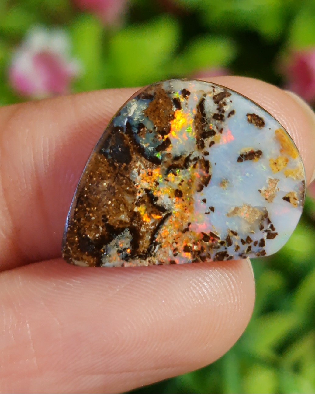 พลอย โบลเดอร์ โอปอล ออสเตรเลีย Australian Boulder Opal 14.3 กะรัต (Cts.) พลอยแท้ อัญมณีมงคลประจําวันเกิด เครื่องประดับพลอย