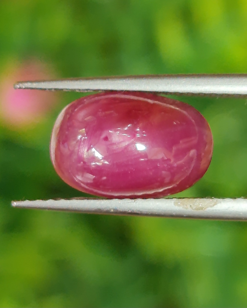 พลอย ทับทิม สตาร์ แซฟไฟร์ Ruby Star Sapphire 5.62 กะรัต (Cts.) พลอยแท้ อัญมณีมงคลประจําวันเกิด เครื่องประดับพลอย