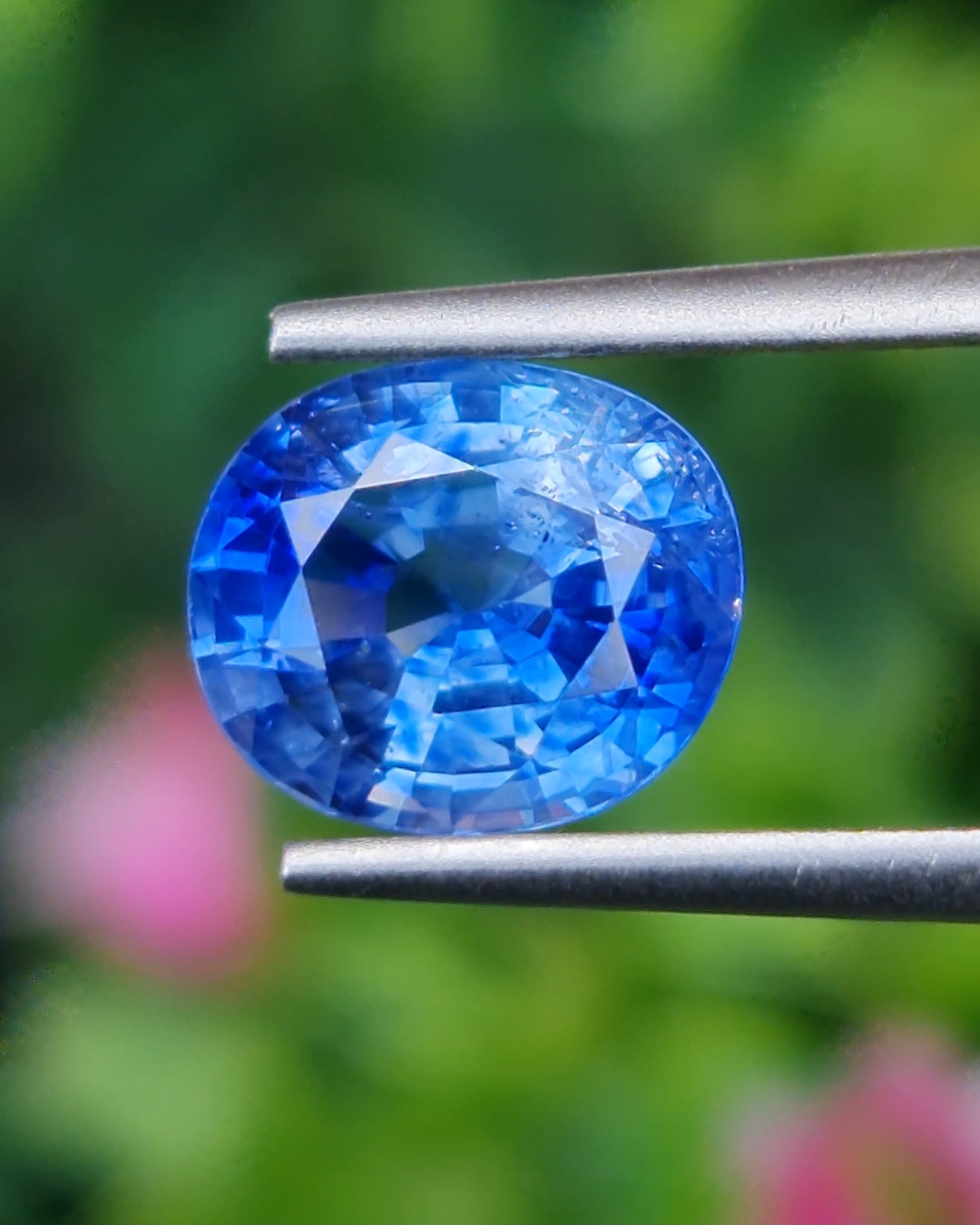 พลอย ไพลิน Blue Sapphire 2.48 กะรัต (Cts.) พร้อมใบเซอร์ พลอยแท้ อัญมณีมงคลประจําวันเกิด เครื่องประดับพลอย