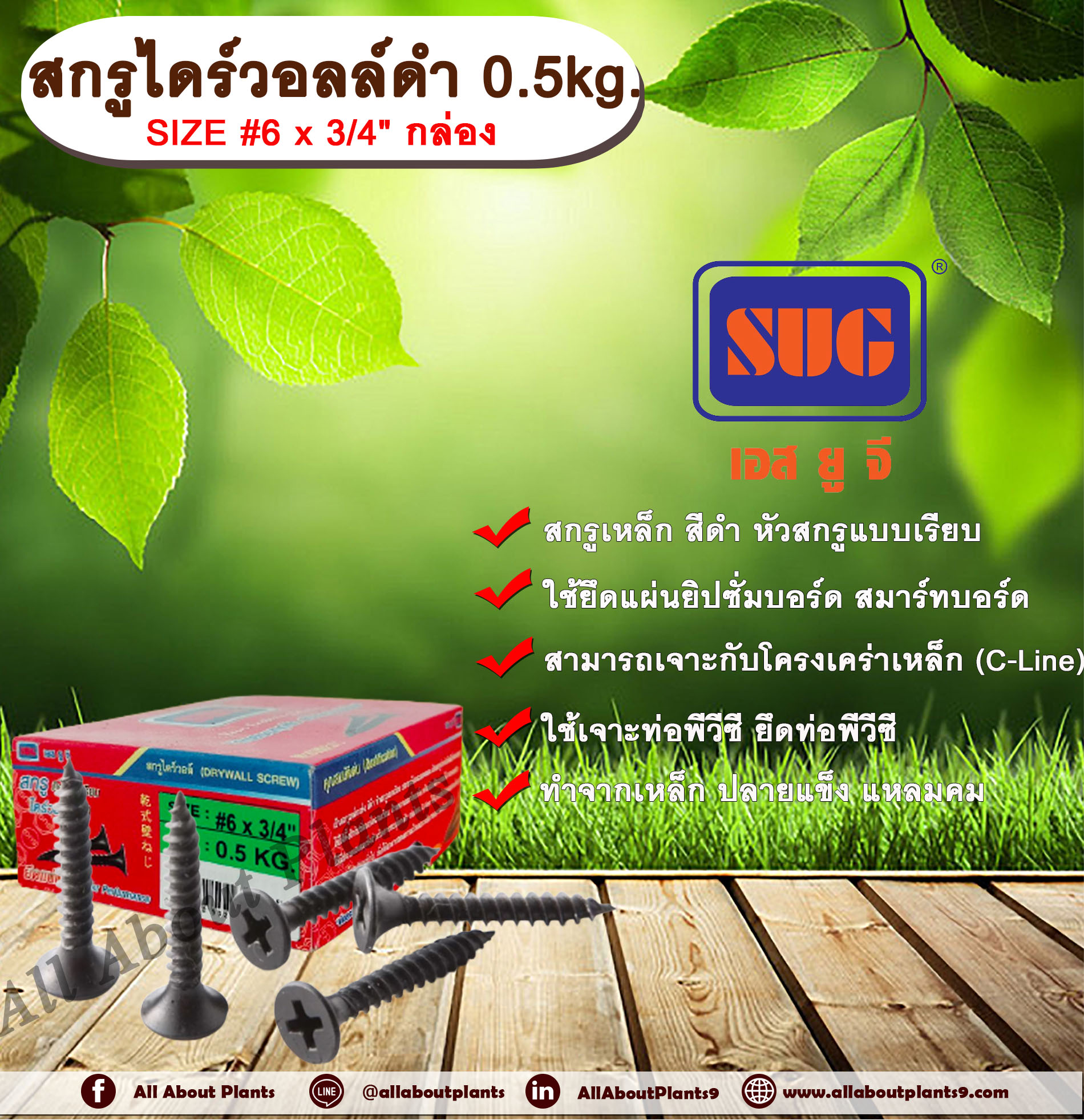 สกรูไดร์วอล์ดำ 6x3/4” 0.5 kg. สกรูยึดแผ่นยิปซั่ม สกรูดำยิงฝ้า สกรูไดวอล น๊อตดำ สกรูดำ น๊อตยิงฝ้า เกลียวดำ สกรูยึดแผ่นเรียบ กล่อง