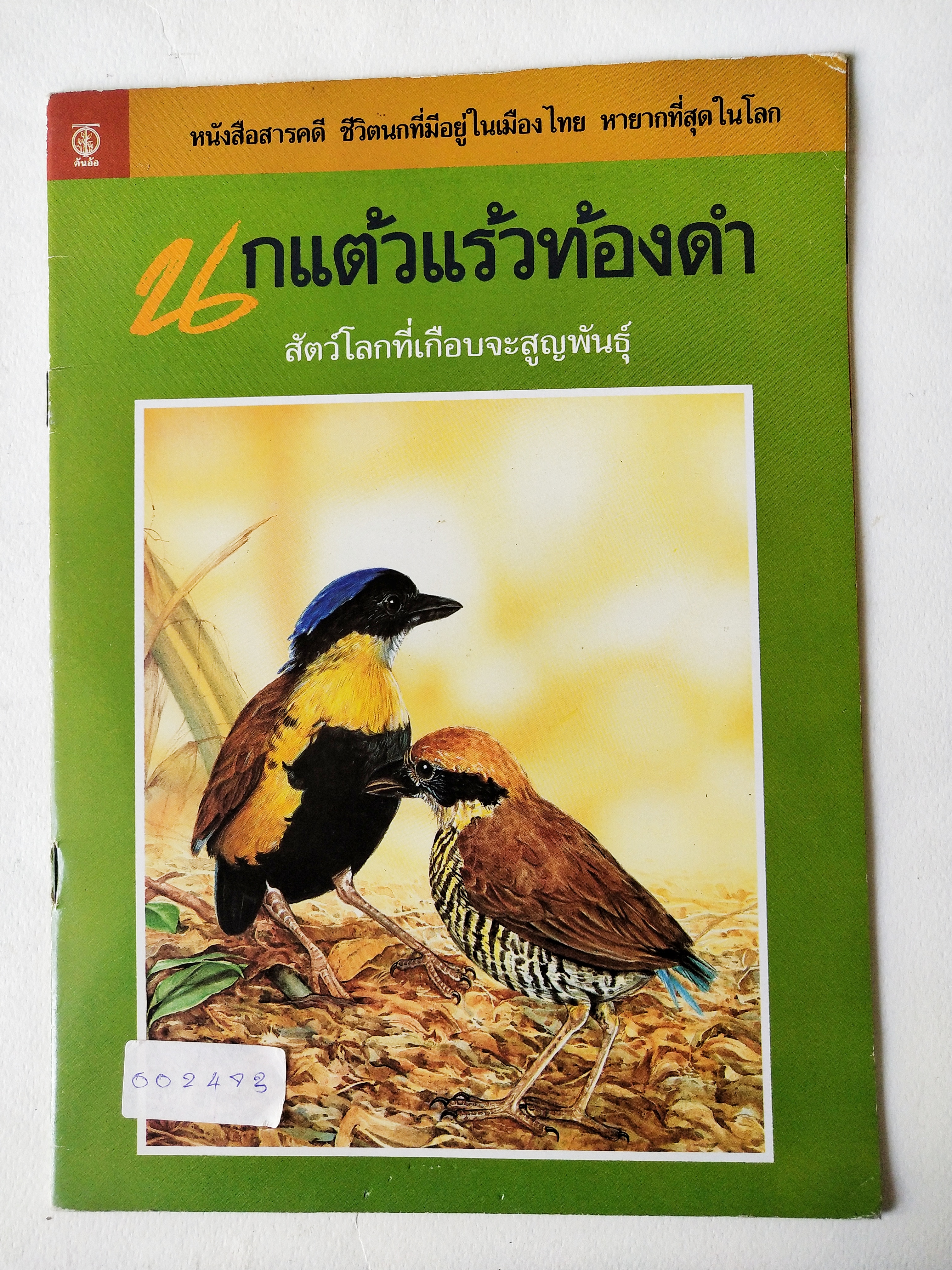 หนังสือสารคดีภาพสวย ** แม็กเย็บตัวบนชำรุด ตามภาพ,ชีวิตนกที่มีอยู่ในเมืองไทย หายากที่สุดในโลก "นกแตัวแร้วท้องดำ" สัตว์โลกที่เกือบจะสูญพันธุ์ *** มีสติ๊กเกอร์ติดด้านล่างของปก วาว เจ้าพระยา เขียนเรื่อง,นพดล อิทธิพงศ์สกุล เขียนภาพ