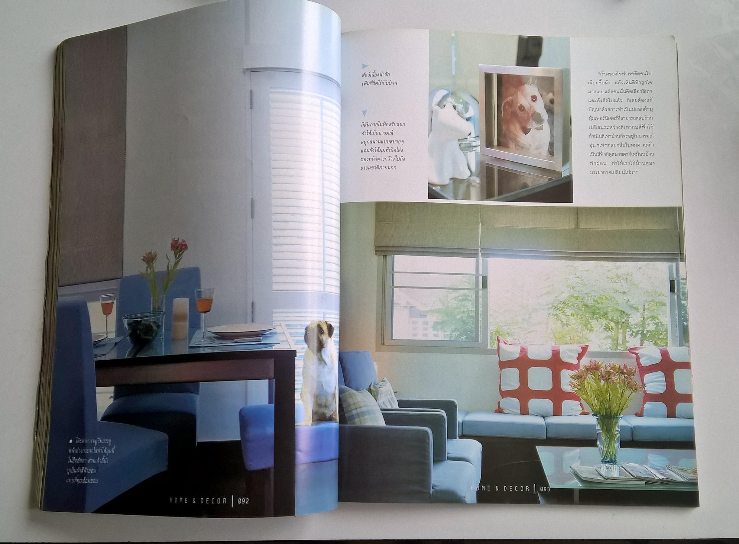 ขายนิตยสารเก่า บ้านและตกแต่ง HOME&DECOR นิตยสารสำหรับคนรักบ้าน ปีที่ 14 เล่มที่ 162 เดือน พฤศจิกายน 2544,บ้าน 4 อารมณ์,ให้สีฟ้าแทนทะเล,สีำ้ตาลคือความอบอุ่น,อบอุ่นในเนื้อไม้,บ้านพักผ่อน,บ้านแคแสดมภาพเขียนโปรดของ 4 หนุี่มสาว,ตกแต่งสร้างอารมณ์ด้วยสัมผัสทั้ง5