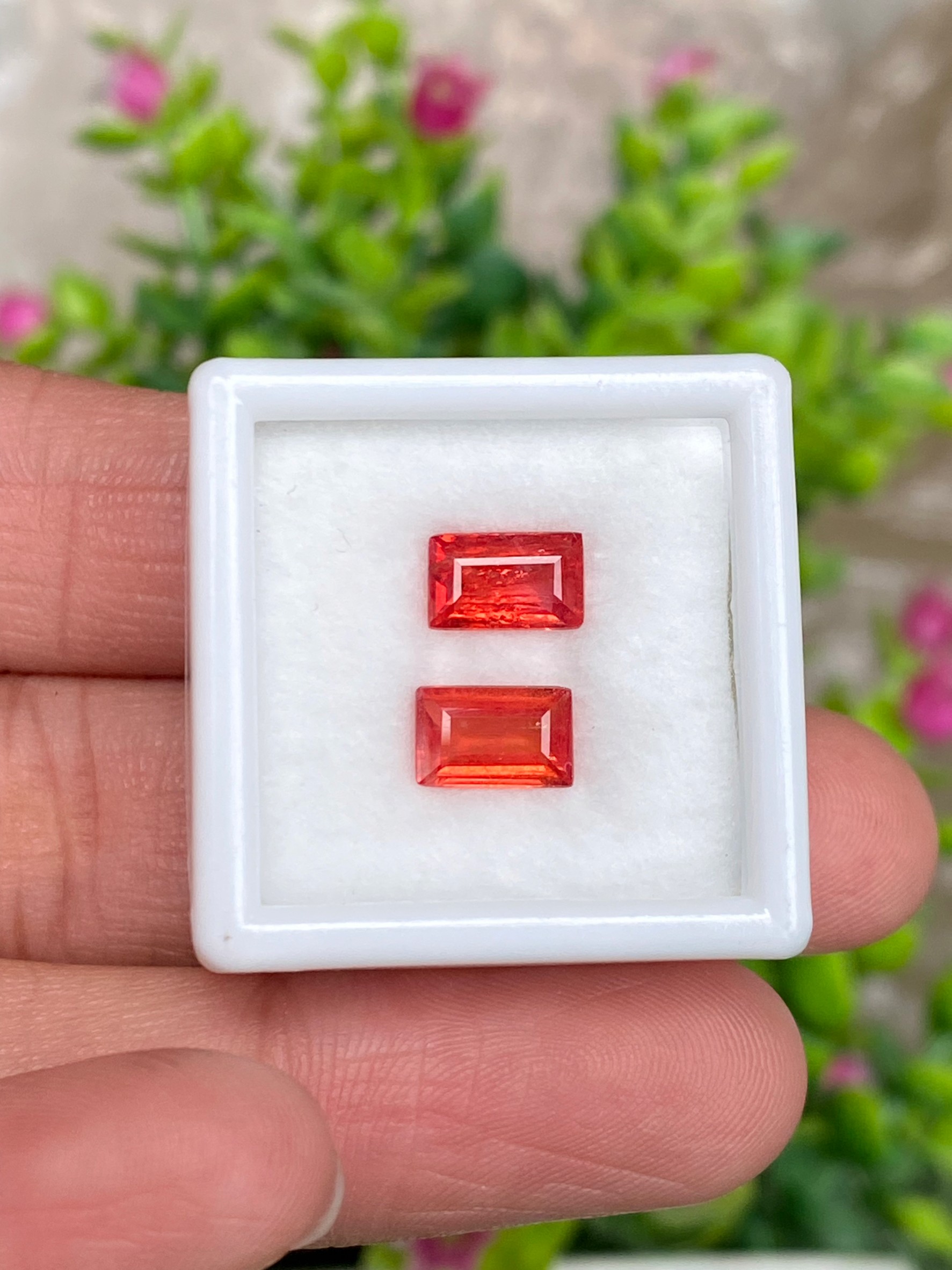 พลอย คู่ ออเรนจ์ แซฟไฟร์ Orange Sapphire 2 เม็ด 2.43 กะรัต (Cts.) พลอยแท้ อัญมณีมงคลประจําวันเกิด เครื่องประดับพลอย