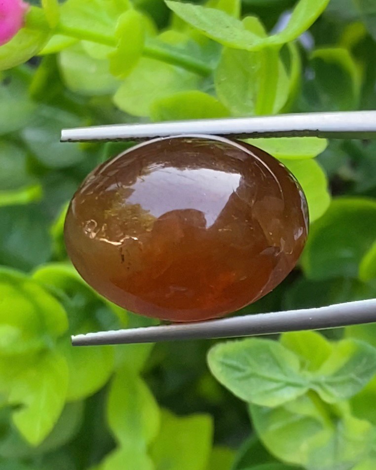 พลอย ตาแมว อะพาไทต์ Cat eye Apatite 25.00 กะรัต (Cts.) พลอยแท้ อัญมณีมงคลประจําวันเกิด เครื่องประดับพลอย