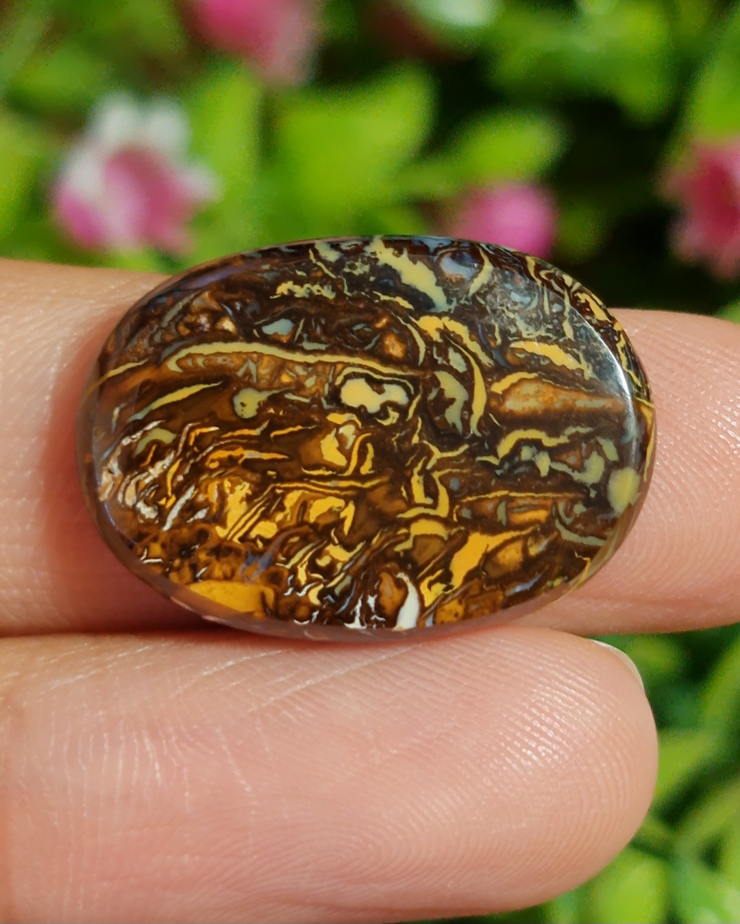 พลอย โบลเดอร์ โอปอล ออสเตรเลีย Australian Boulder Opal 13.50 กะรัต (Cts.) พลอยแท้ อัญมณีมงคลประจําวันเกิด เครื่องประดับพลอย