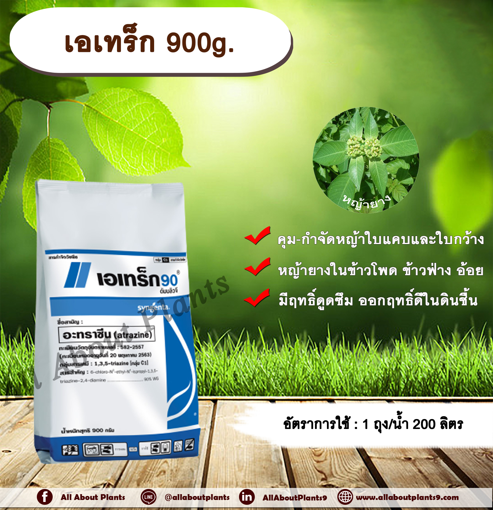 เอเทร็ก 900g. อาทราซีน อะทราซีน สารคุมและกำจัดวัชพืช ใบแคบและใบกว้าง แบบดูดซึม ชนิดเม็ด เอเทร็ก 90 ดับบลิวจี กำจัดหญ้ายาง ในไร่ข้าวโพด ข้าวฟ่าง อ้อย allaboutplants ชิ้น